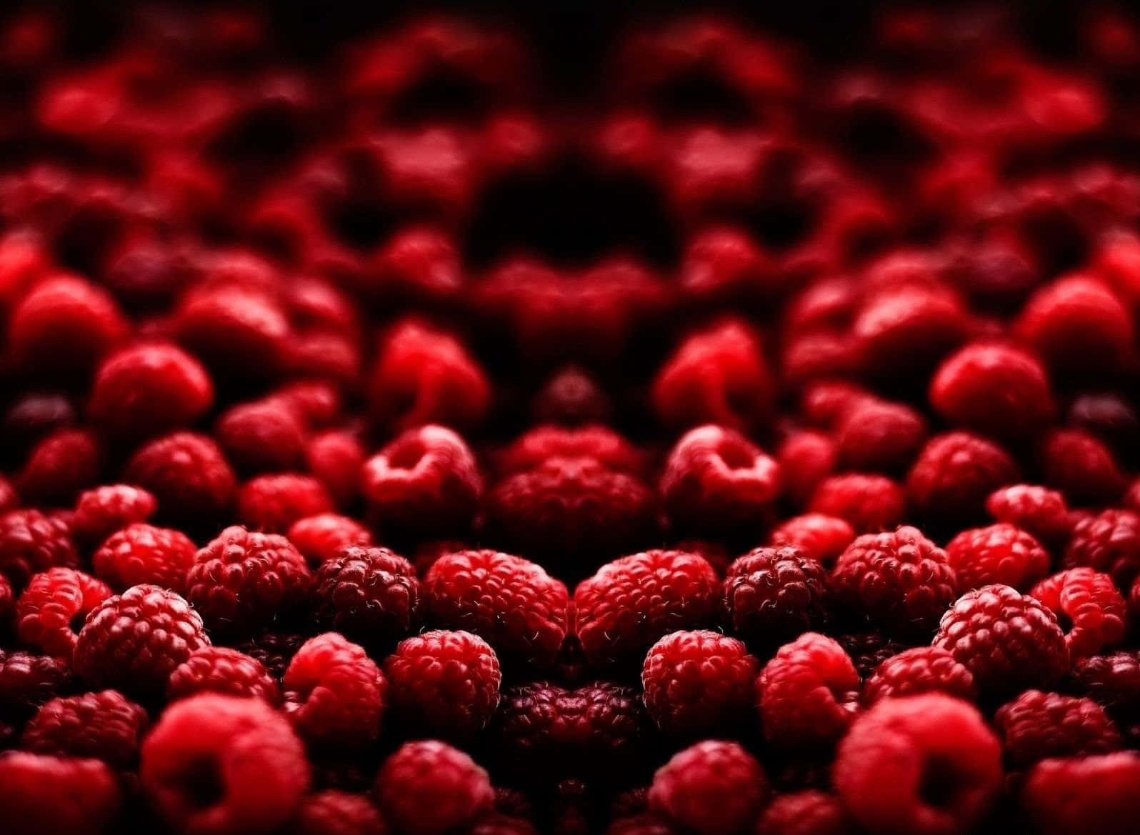 Cherry 桌布 壁紙 — 淺景深捕捉到鮮紅色覆盆子帶有露珠質感，背景為深色模糊。