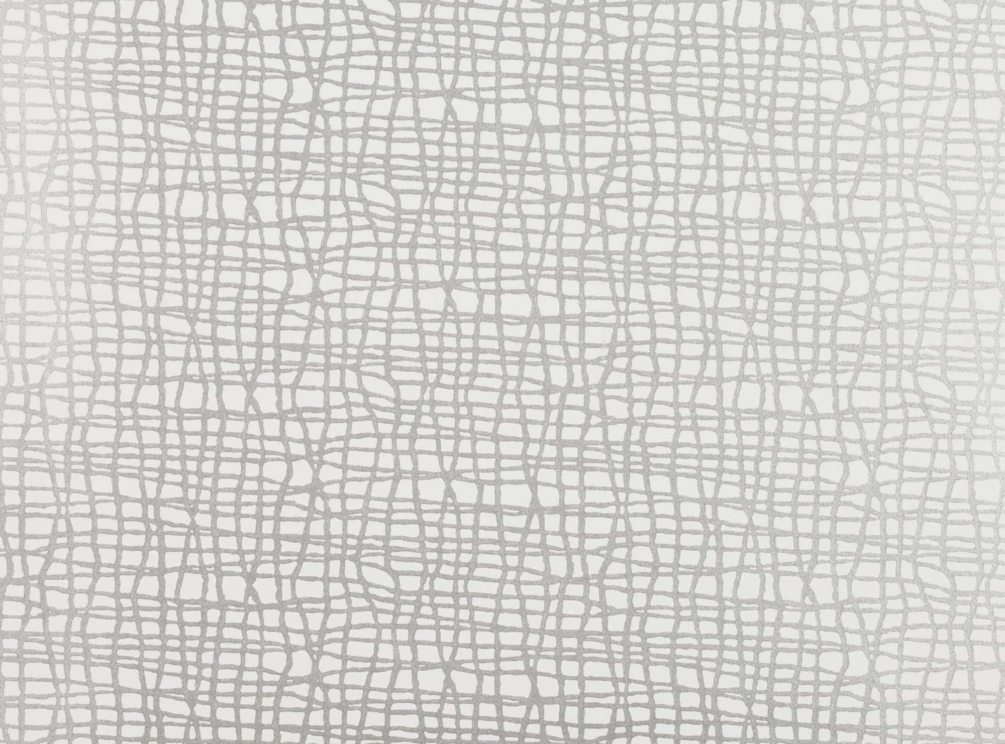 grid 桌布 壁紙 — 淺灰色牆紙的特寫，帶有微妙的裂紋網狀紋理圖案。