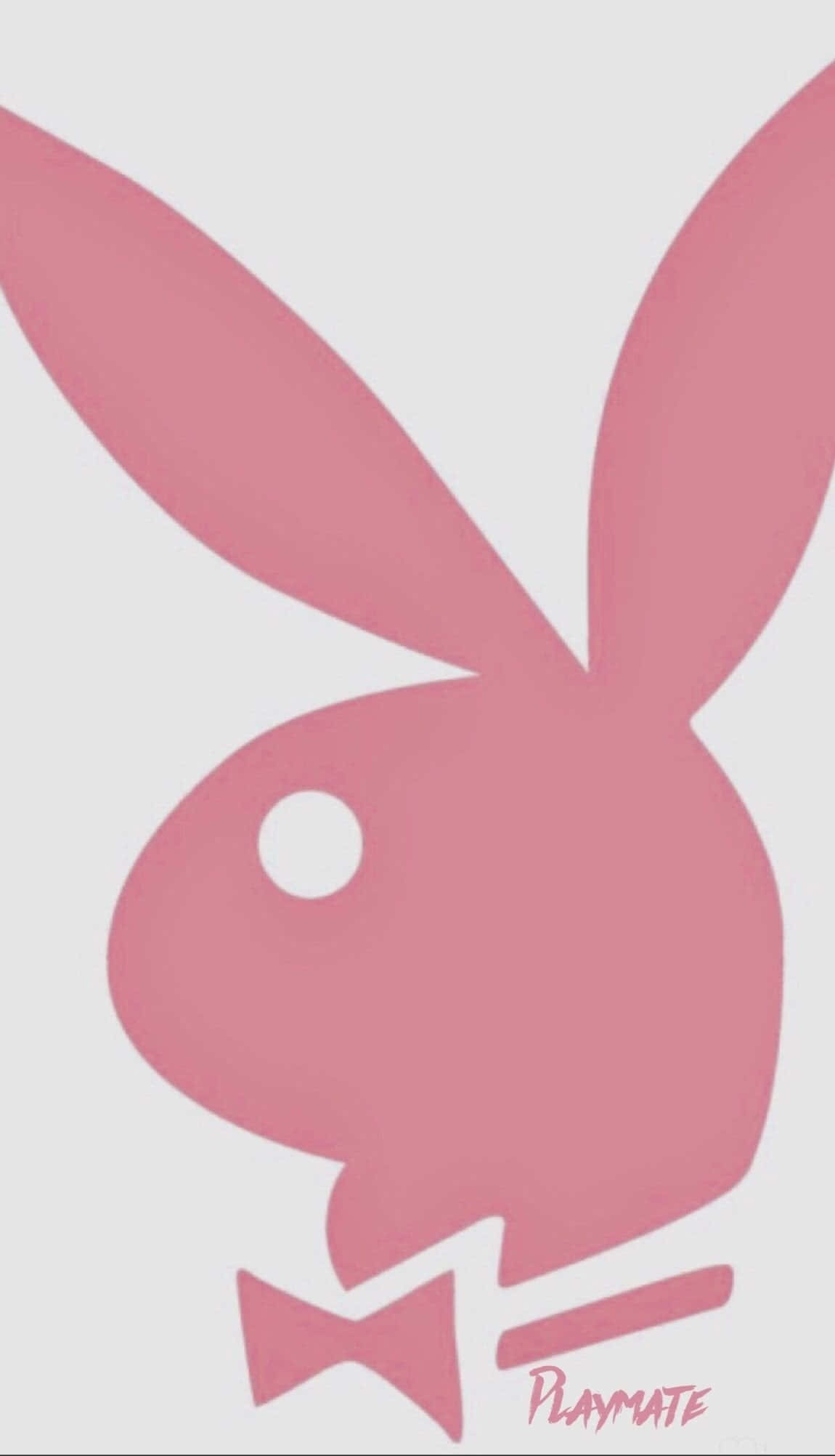 playboy 桌布 壁紙 — 淺灰色背景上帶有蝴蝶結的極簡粉紅色Playboy兔子標誌。