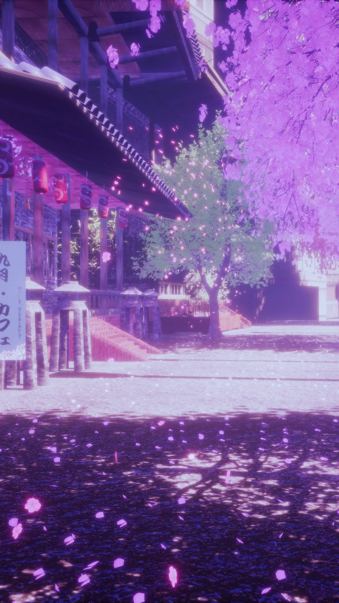 夜晚，粉紅櫻花飄落在傳統日本神社周圍，伴隨著發光的燈籠。