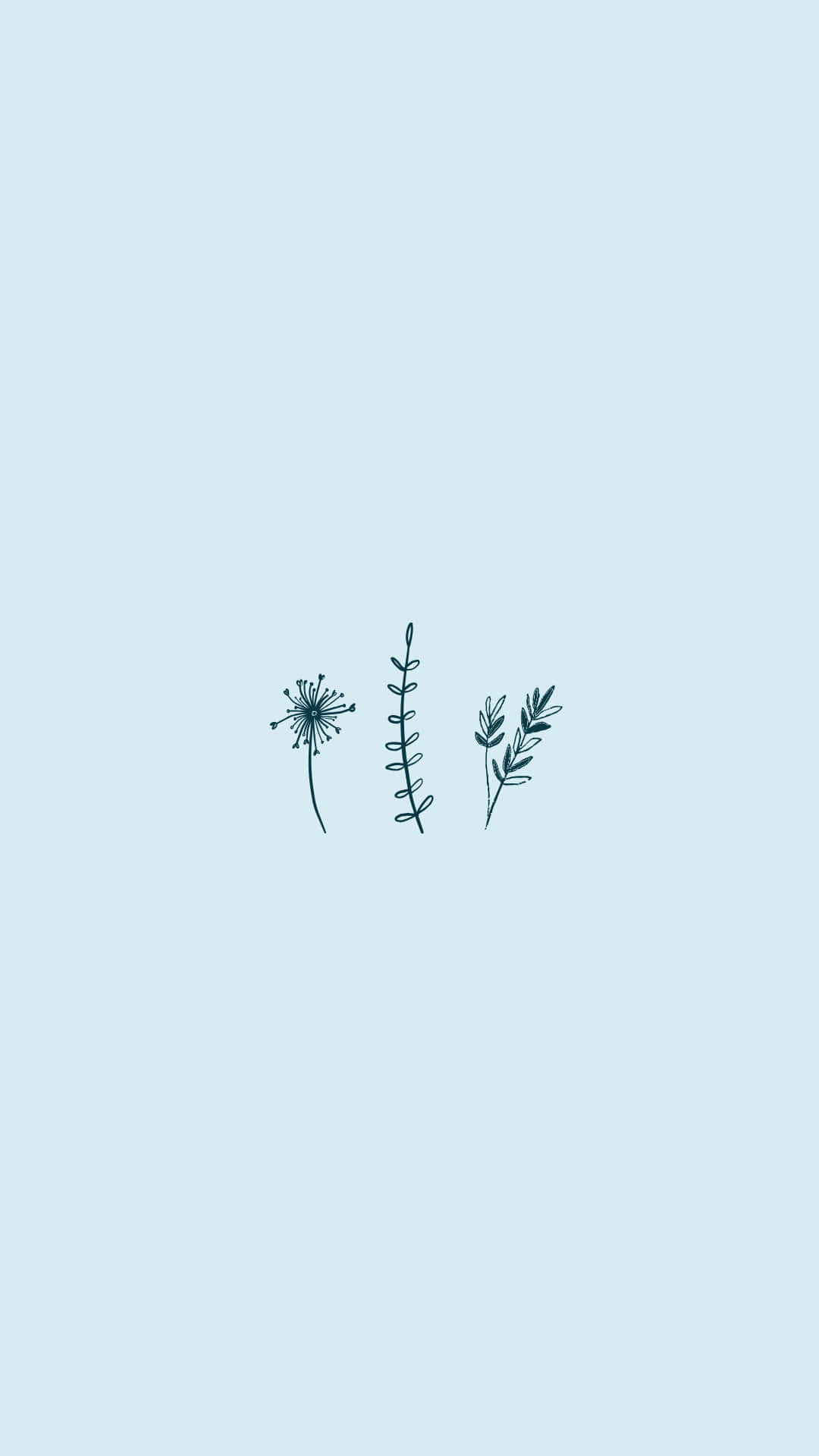 淺藍天空寧靜 壁紙 — 三幅極簡深藍綠色植物素描，描繪蒲公英種子頭、帶刺莖和葉狀小枝，漂浮在柔和的淡藍色背景上。