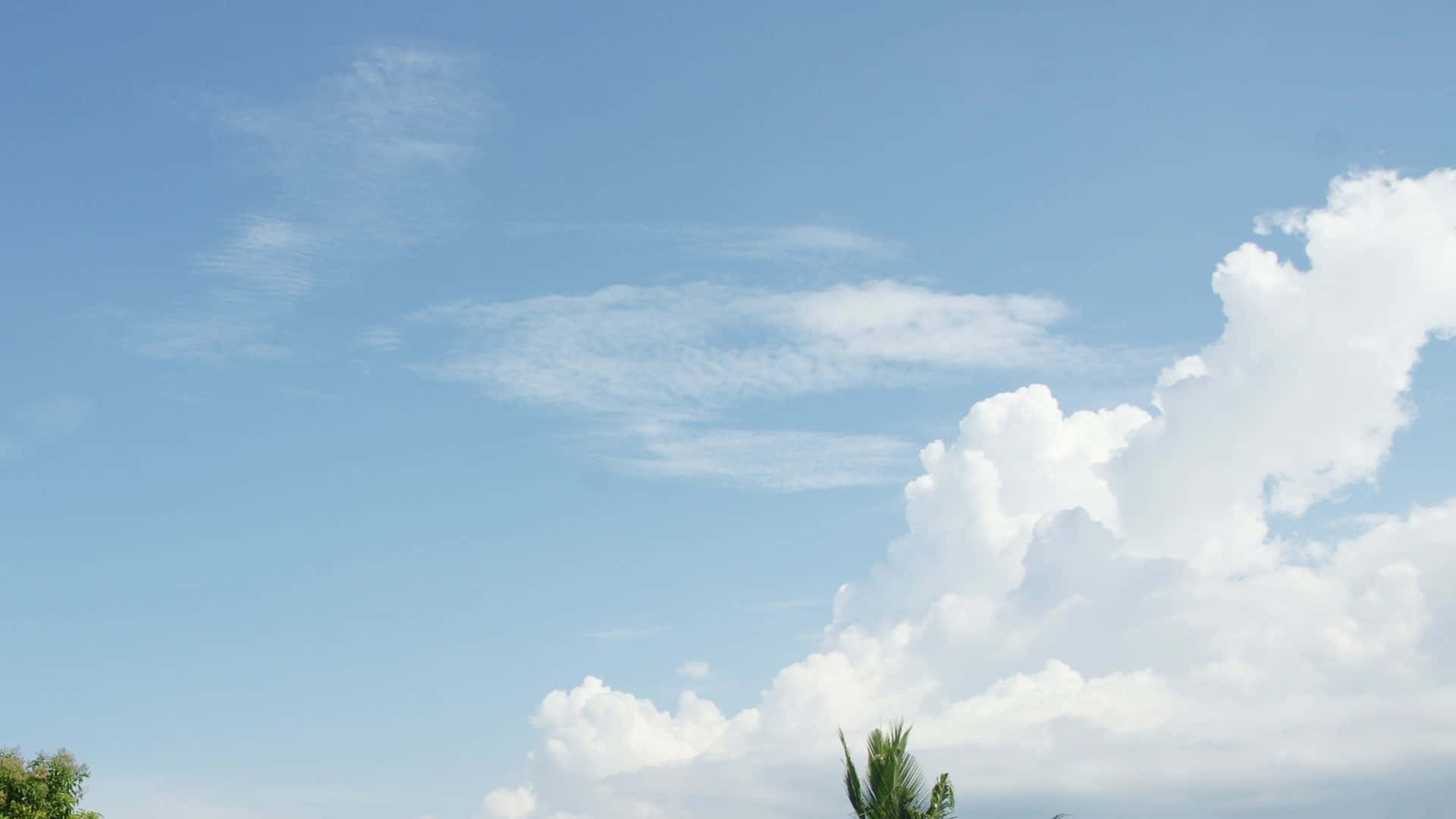 藍天白雲和綠色樹梢
