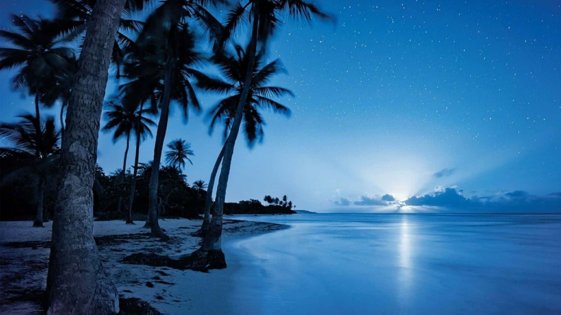淺藍色夜間海灘圖 壁紙 — 月光照耀在寧靜的熱帶海灘上，棕櫚樹在繁星點點的暮色天空中投下剪影。