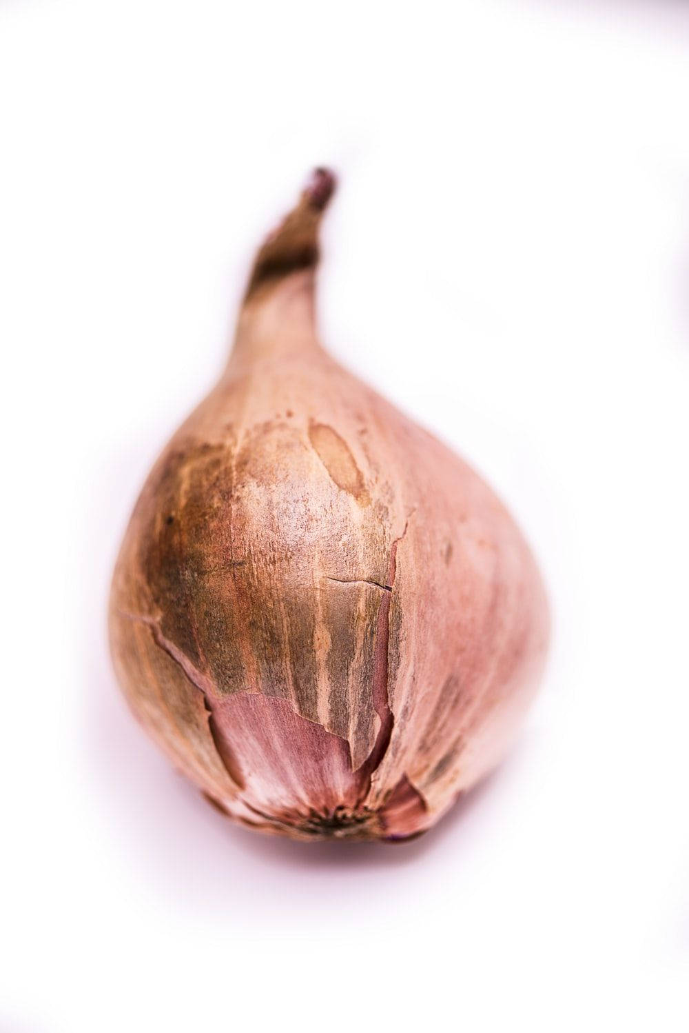 一個乾燥的紅蔥頭，外皮破裂呈紙質，放在白色表面上。
