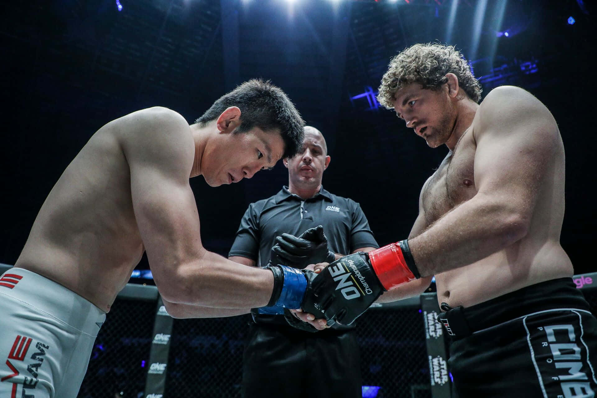 兩名MMA拳手在鐵籠中握手，裁判站在他們之間。