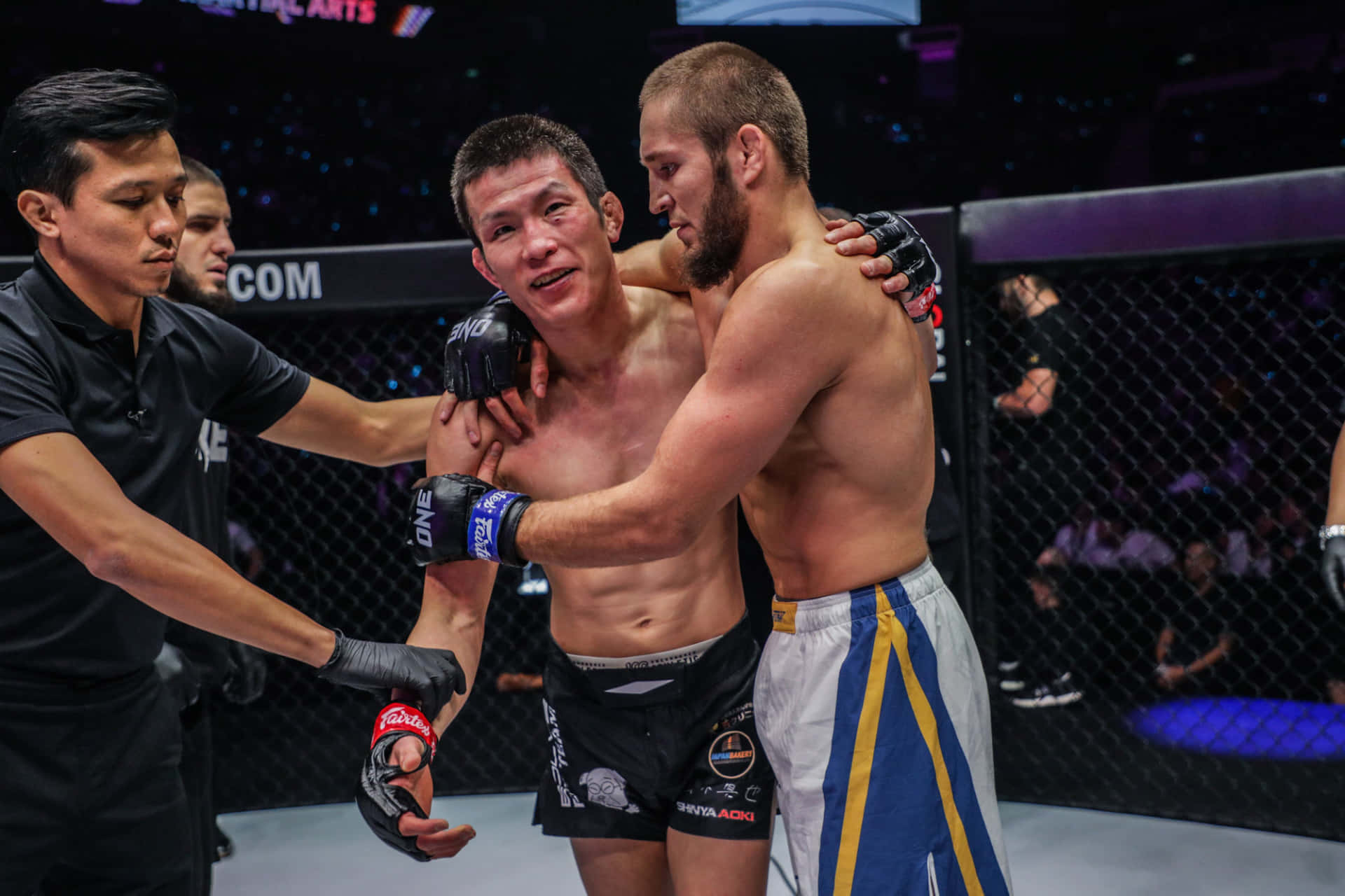 兩名MMA拳手在比賽中鎖定纏抱，裁判介入。