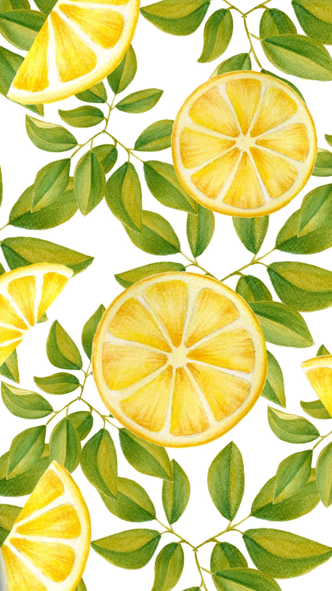 白色背景上檸檬片和綠葉的水彩插圖。