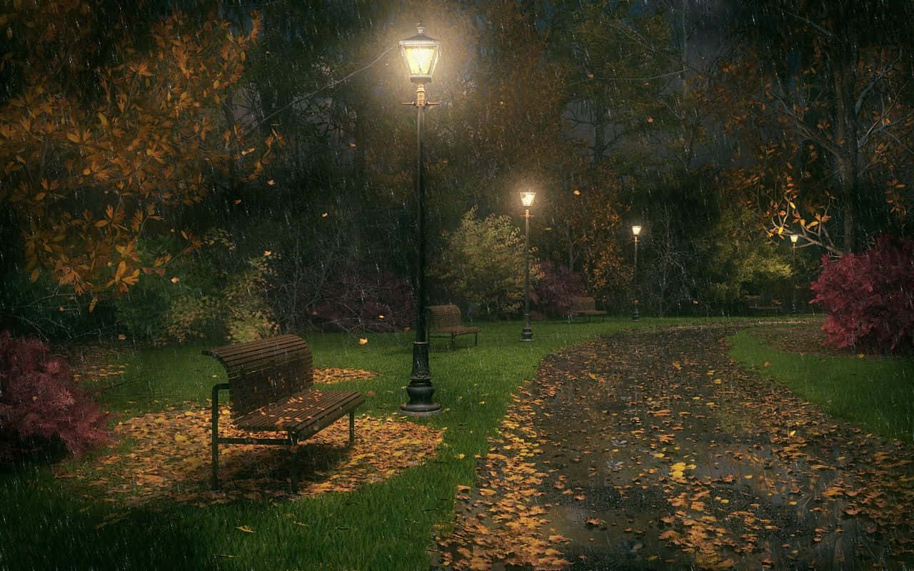 公園長椅在發光路燈下，潮濕草地和小徑上散落著秋葉。