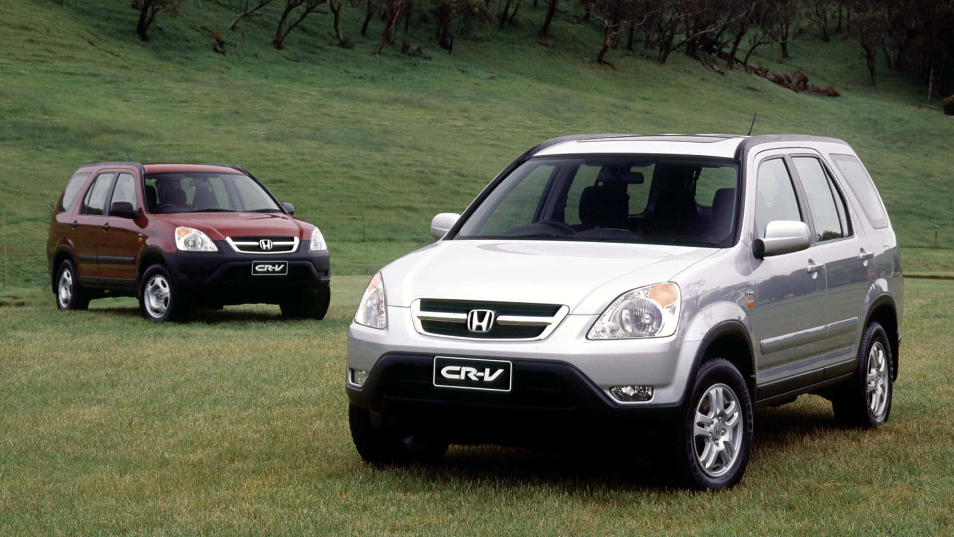 兩輛本田 CR-V SUV 停放在草坡上。