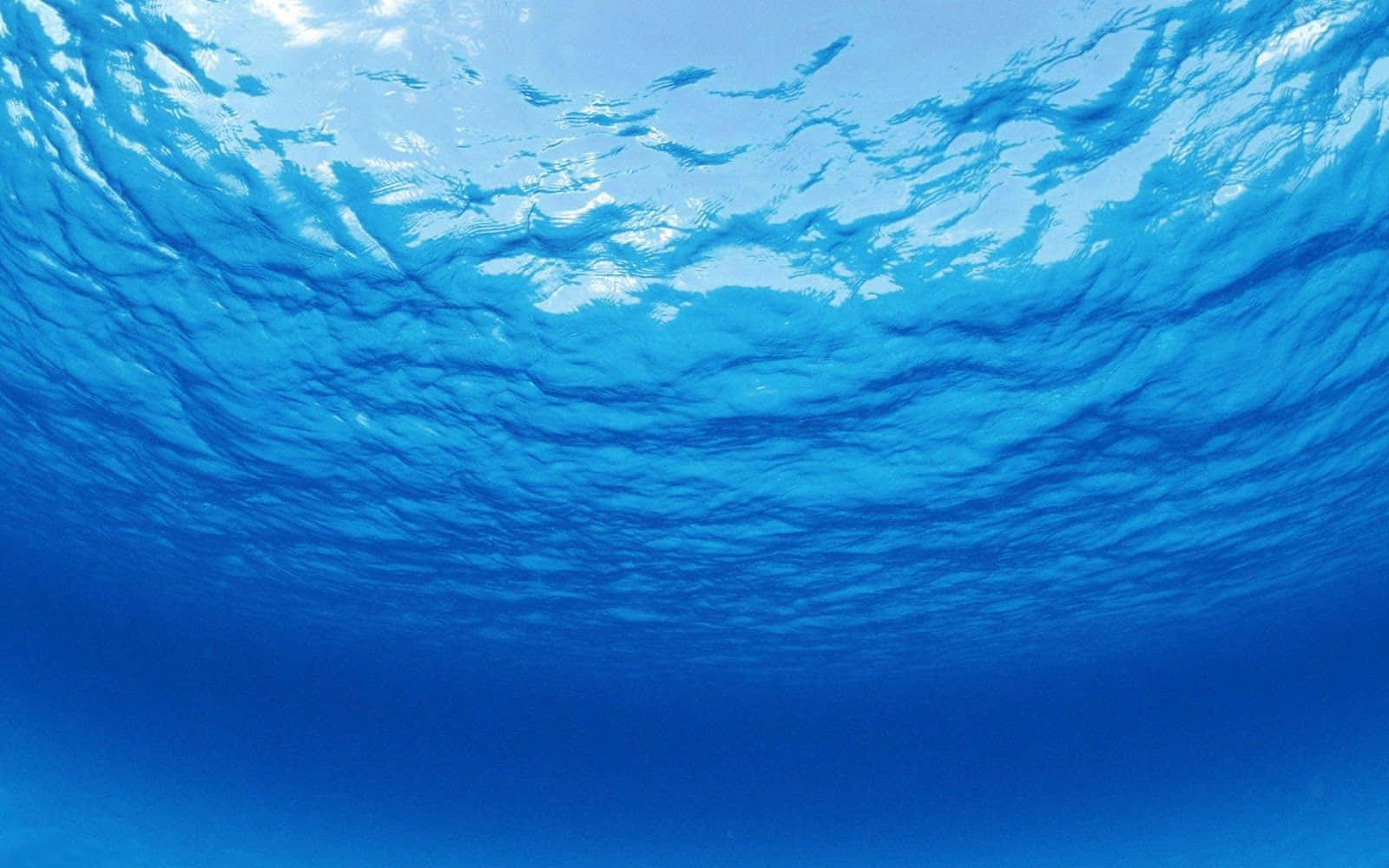從下方看海面的漣漪，陽光穿透而過。