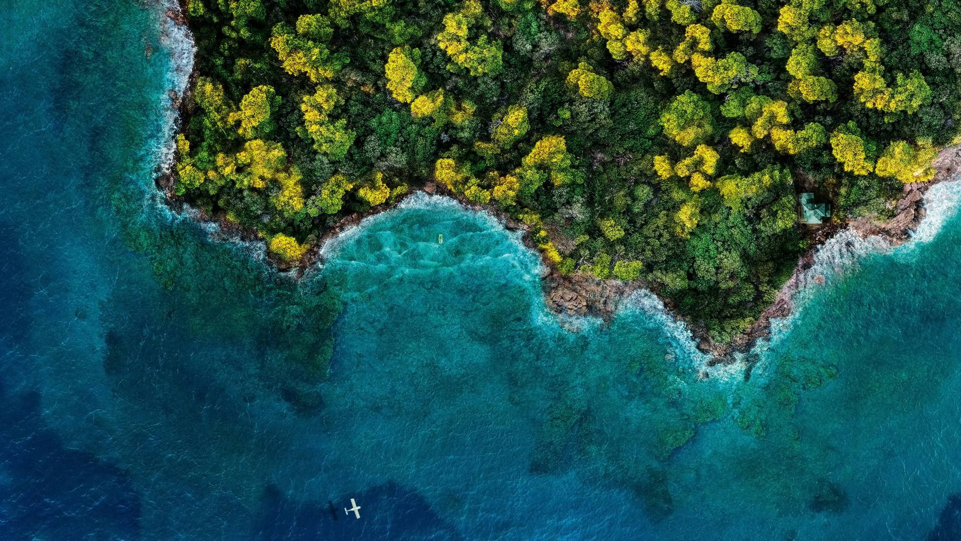 俯瞰一個森林覆蓋的島嶼，有碧綠的海水和一個皮划艇運動員在海岸附近划槳。