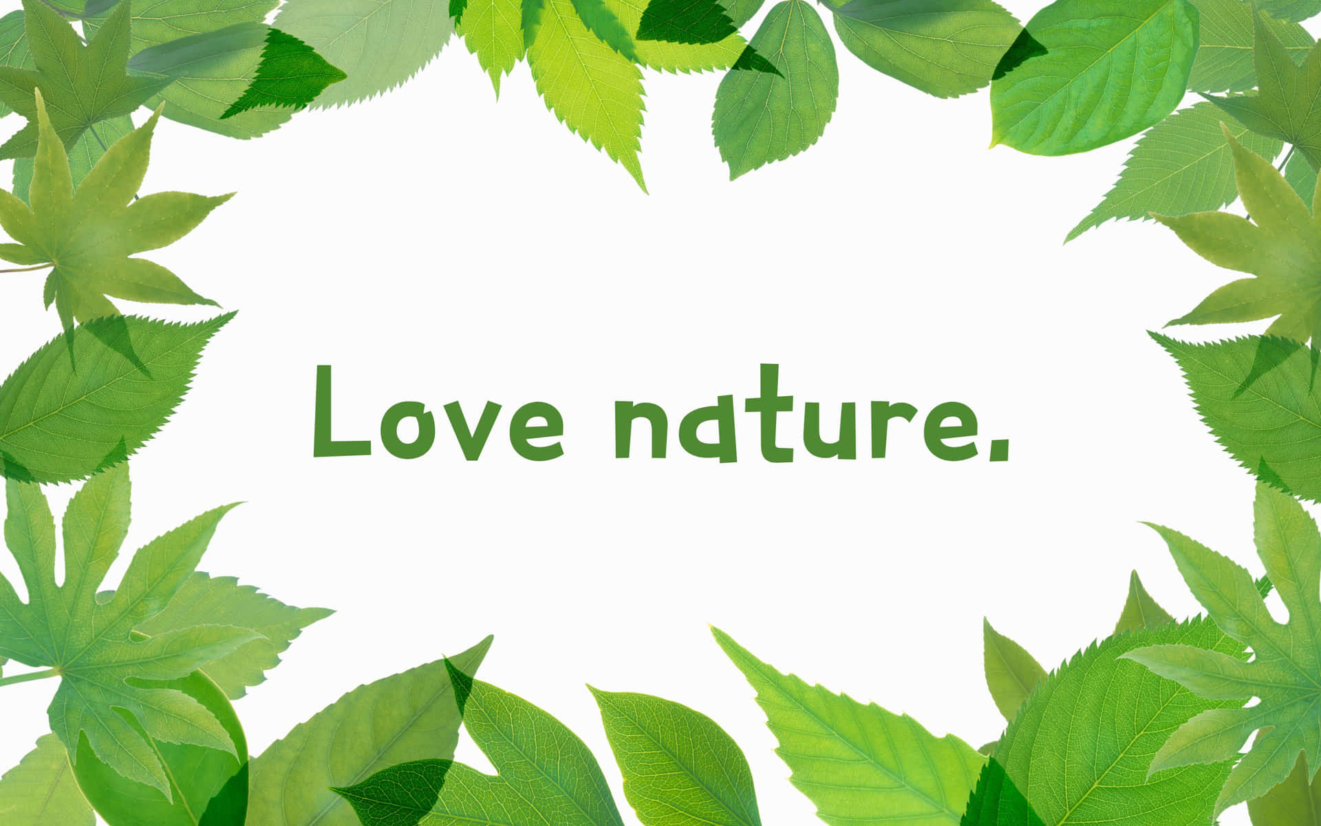 綠葉在白色背景上框住「Love nature」這句話。