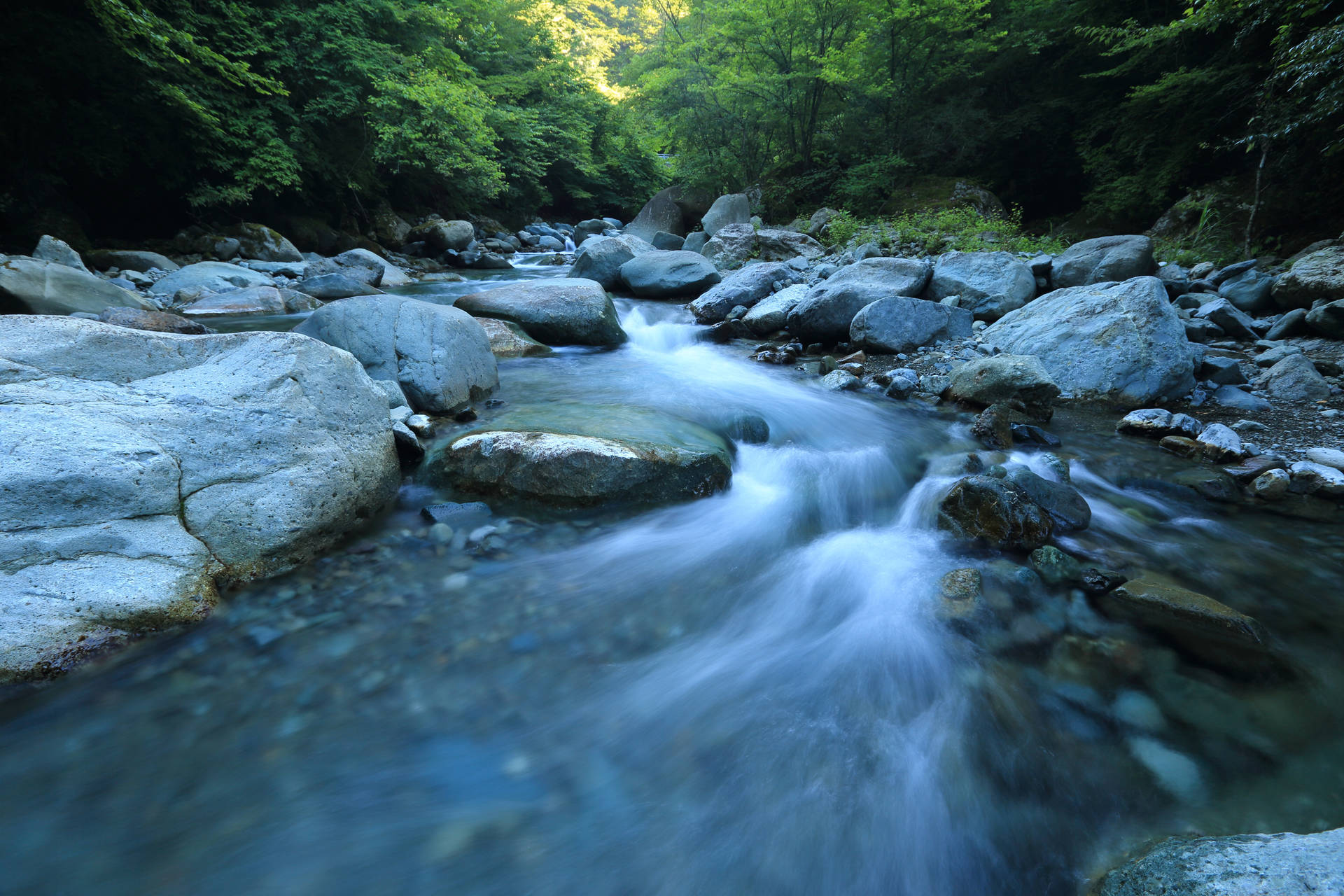 一條流動的山間溪流，在綠色森林中岩石上有平滑的水流。