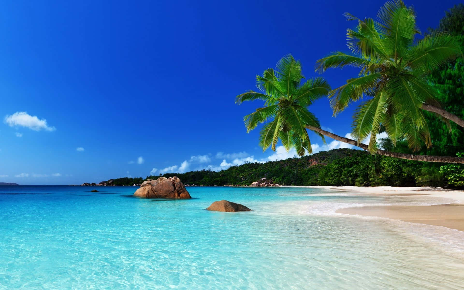 Jamaica 桌布 壁紙 — 清澈的碧綠海水拍打著白色沙灘，沙灘兩旁種滿了茂密的綠色棕櫚樹，上方是湛藍的天空。