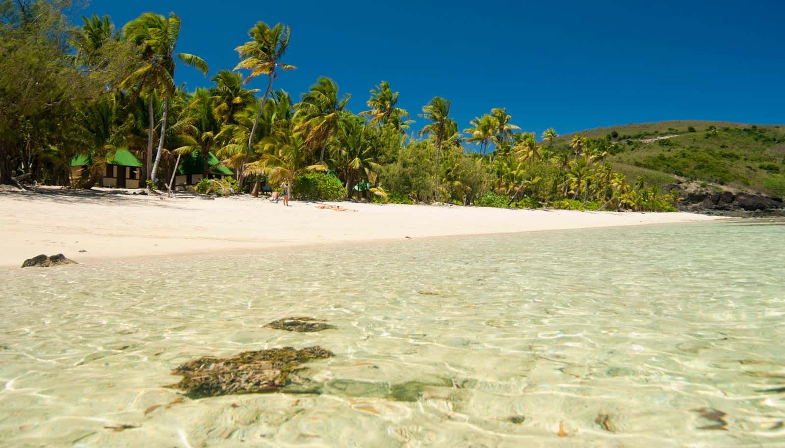 Fiji Beach 桌布 壁紙 — 清澈的碧綠海水拍打著純淨的白色沙灘，沙灘上棕櫚樹搖曳，上方是湛藍的天空。