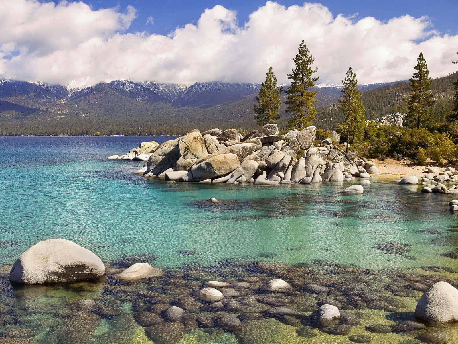 Montana 桌布 壁紙 — 清澈的碧綠湖水拍打著巨石，背景是白雪覆蓋的山脈和松樹，天空湛藍，白雲朵朵。
