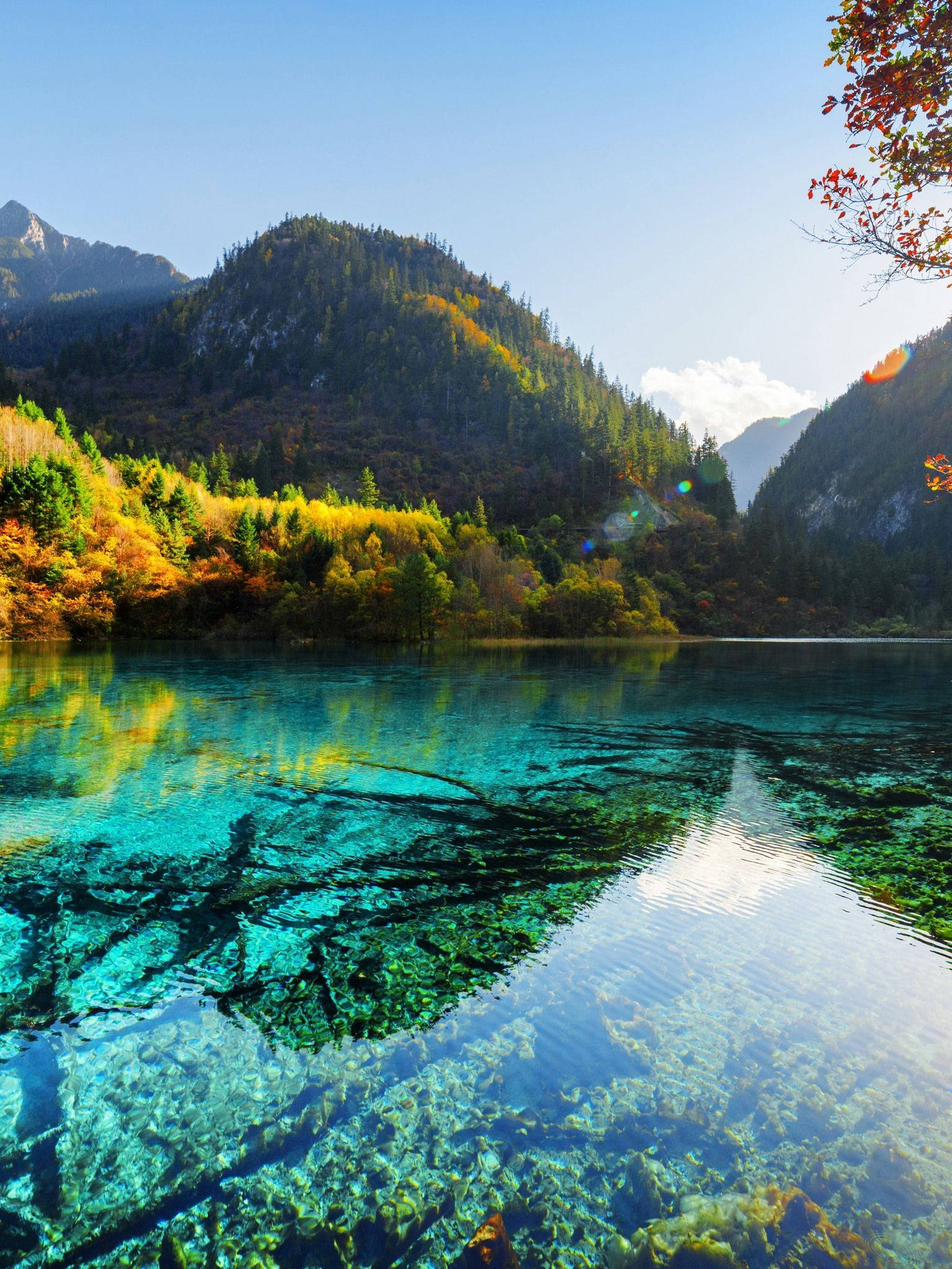 背景 桌布 壁紙 — 清澈的碧綠湖面倒映著秋日山巒和金色樹木，天空湛藍明亮。