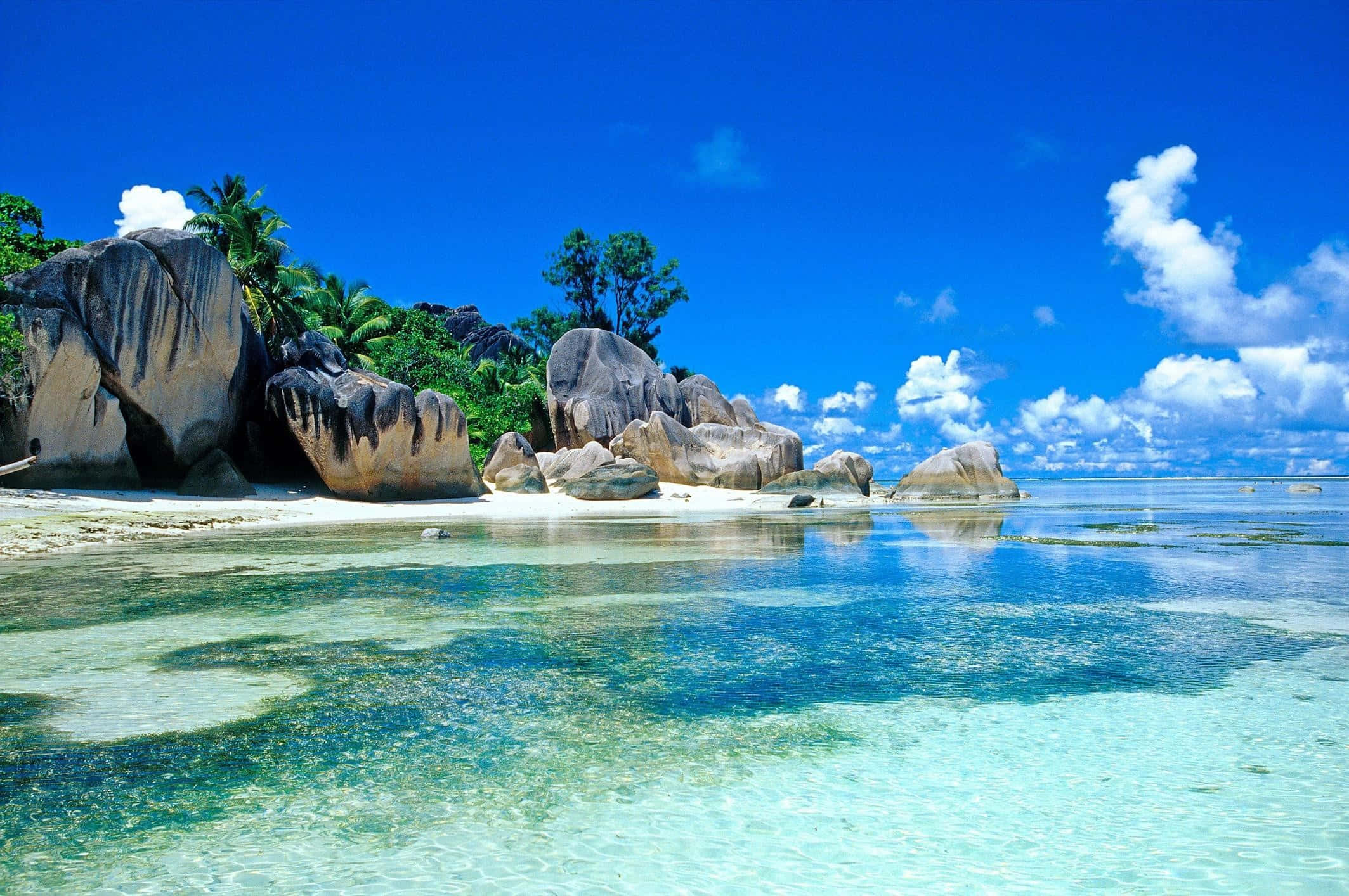 Beautiful Ocean 桌布 壁紙 — 清澈碧綠的海水拍打著白色沙灘，沙灘四周環繞著巨大的花崗岩巨石和茂密的綠色棕櫚樹，上方是湛藍的天空。