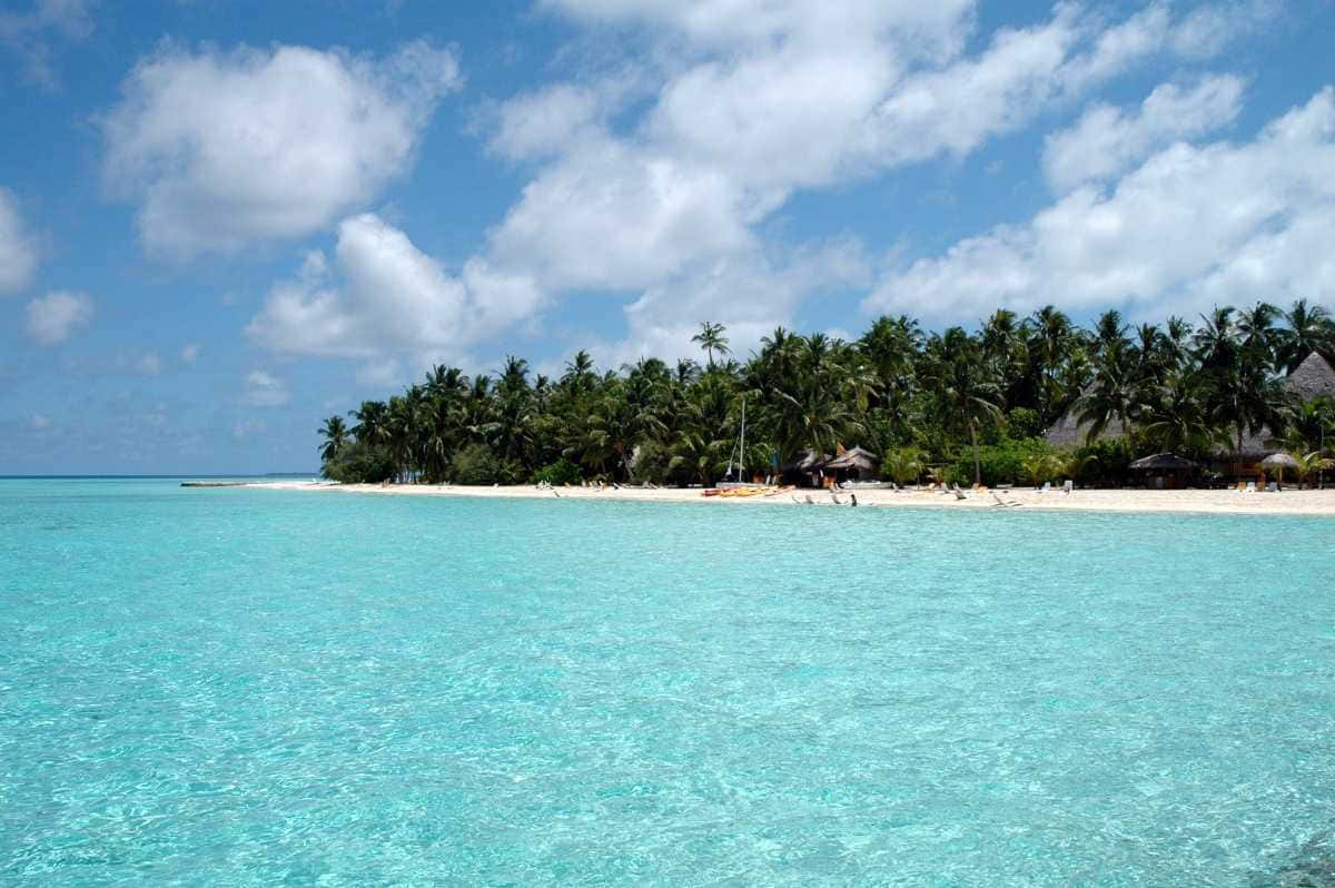 Maldives Island 桌布 壁紙 — 清澈碧綠的海水輕輕拍打著白色沙灘，沙灘上種滿了茂密的綠色棕櫚樹，頭頂是明亮的藍天和蓬鬆的白雲。