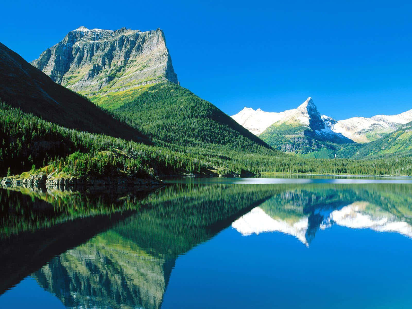 Montana 桌布 壁紙 — 清澈藍天下，純淨的高山湖泊映照著白雪覆蓋的山峰和茂密的綠色森林。
