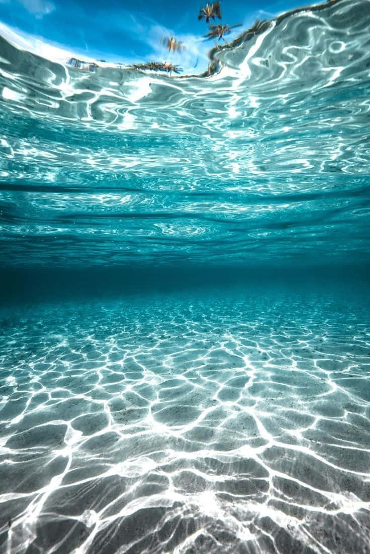 清澈陽光灑落海底圖 壁紙 — 碧綠海洋的水底景觀，陽光在沙質海底上舞動，棕櫚樹在水面上清晰可見。