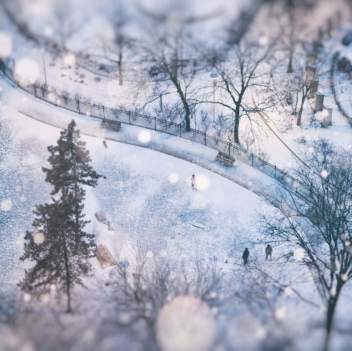 「清爽暴雪，驅散夏日酷熱」 壁紙 — 一條白雪覆蓋的公園小徑蜿蜒穿過光禿禿的樹木，人們在柔和的藍色冬日薄霧和散景雪花下行走。