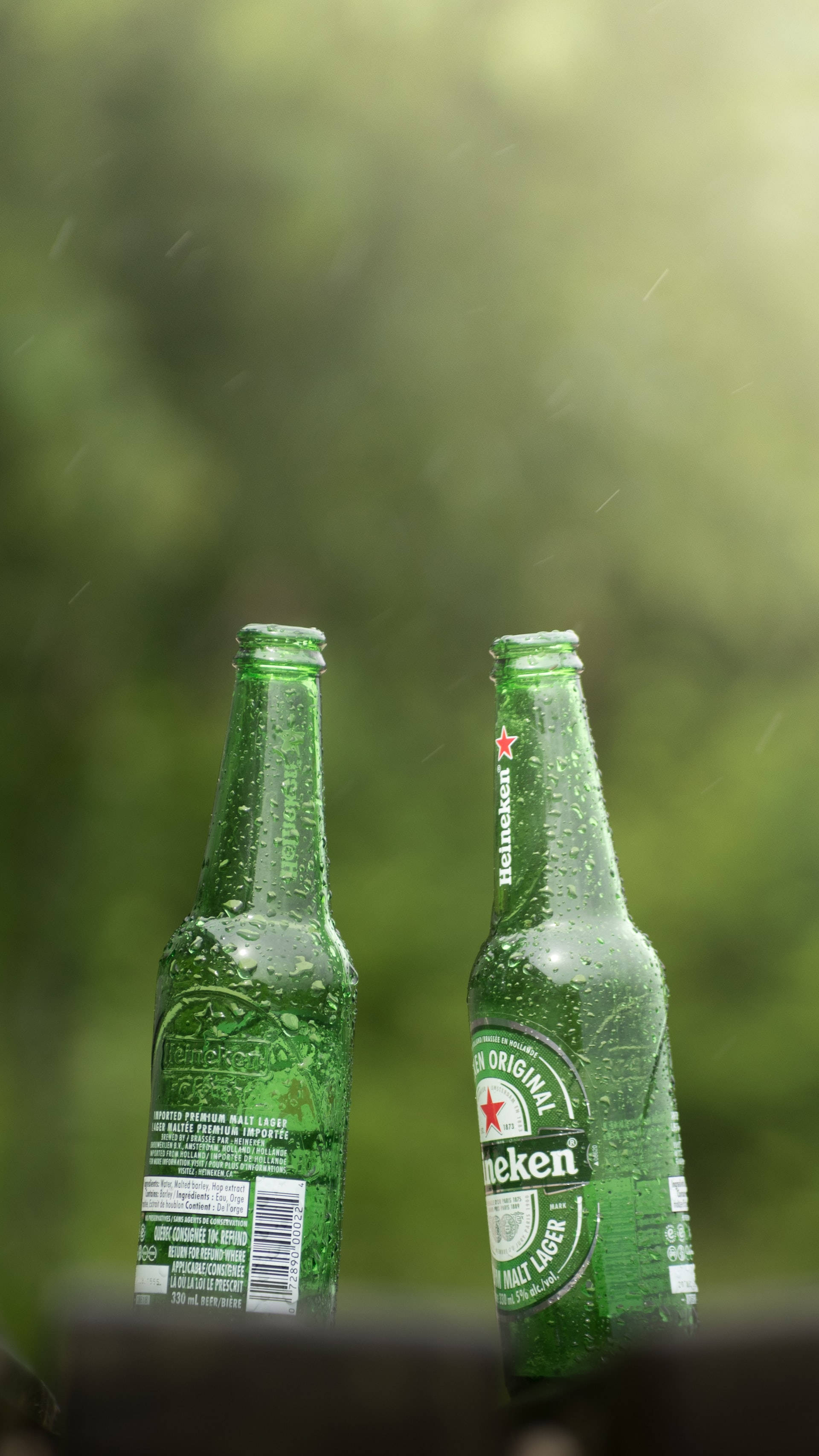 清爽誘人的喜力拉格啤酒瓶 壁紙 — 兩支冰凍的喜力啤酒瓶在柔和的綠色模糊背景上閃爍著雨滴。