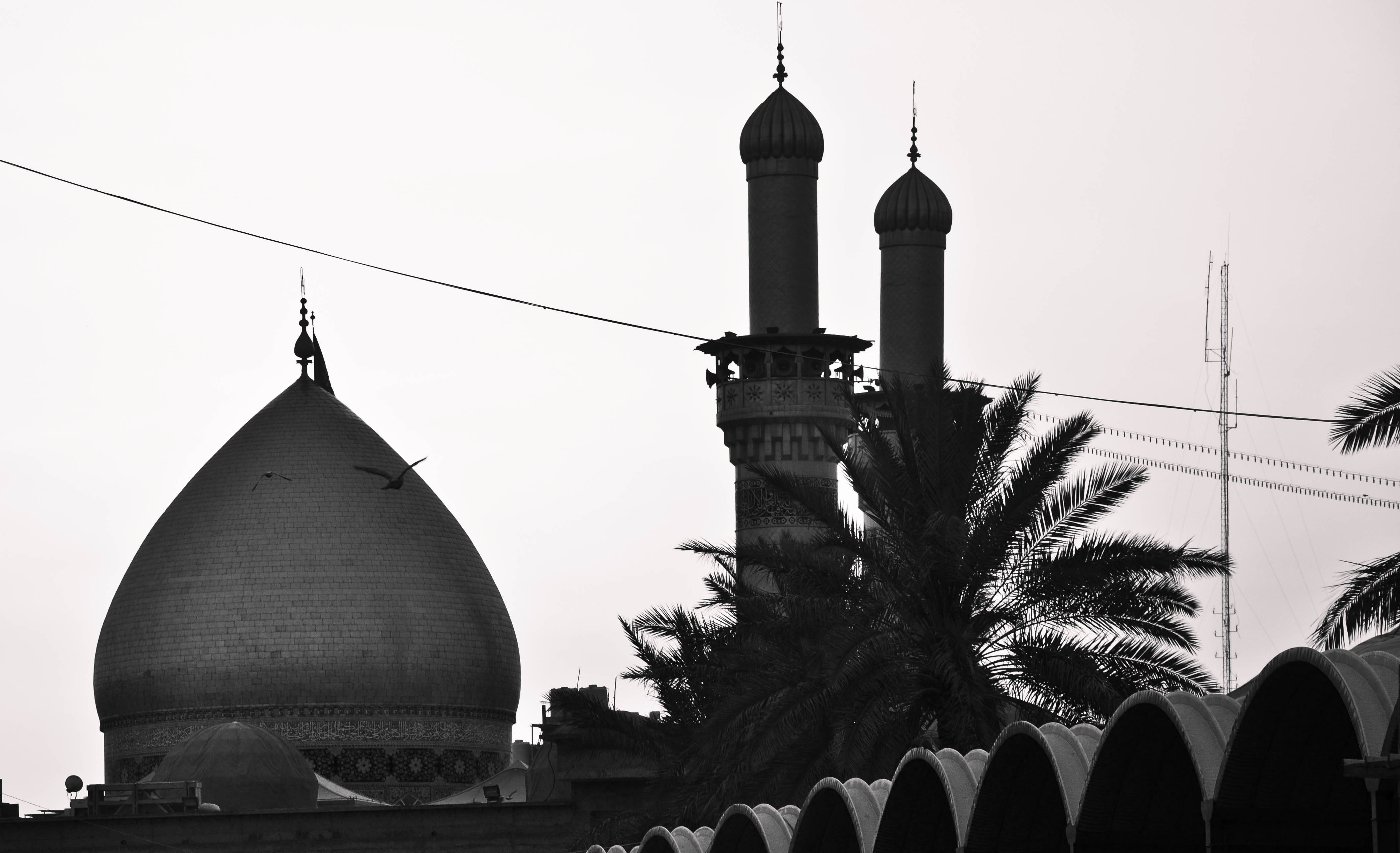 Karbala 桌布 壁紙 — 清真寺圓頂和宣禮塔的剪影在棕櫚葉後升起，襯著蒼白的天空，有一隻鳥在飛翔。