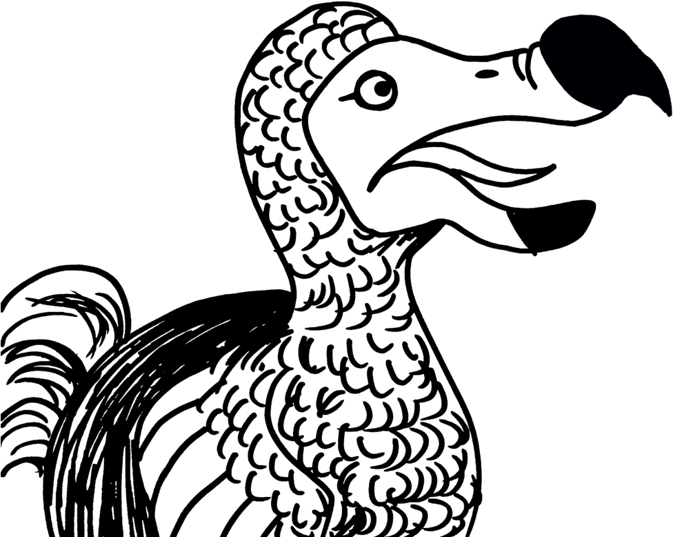 渡渡鳥插畫 壁紙 — 一隻渡渡鳥的風格化黑白線條插圖，帶有紋理羽毛，背景為純黑色。