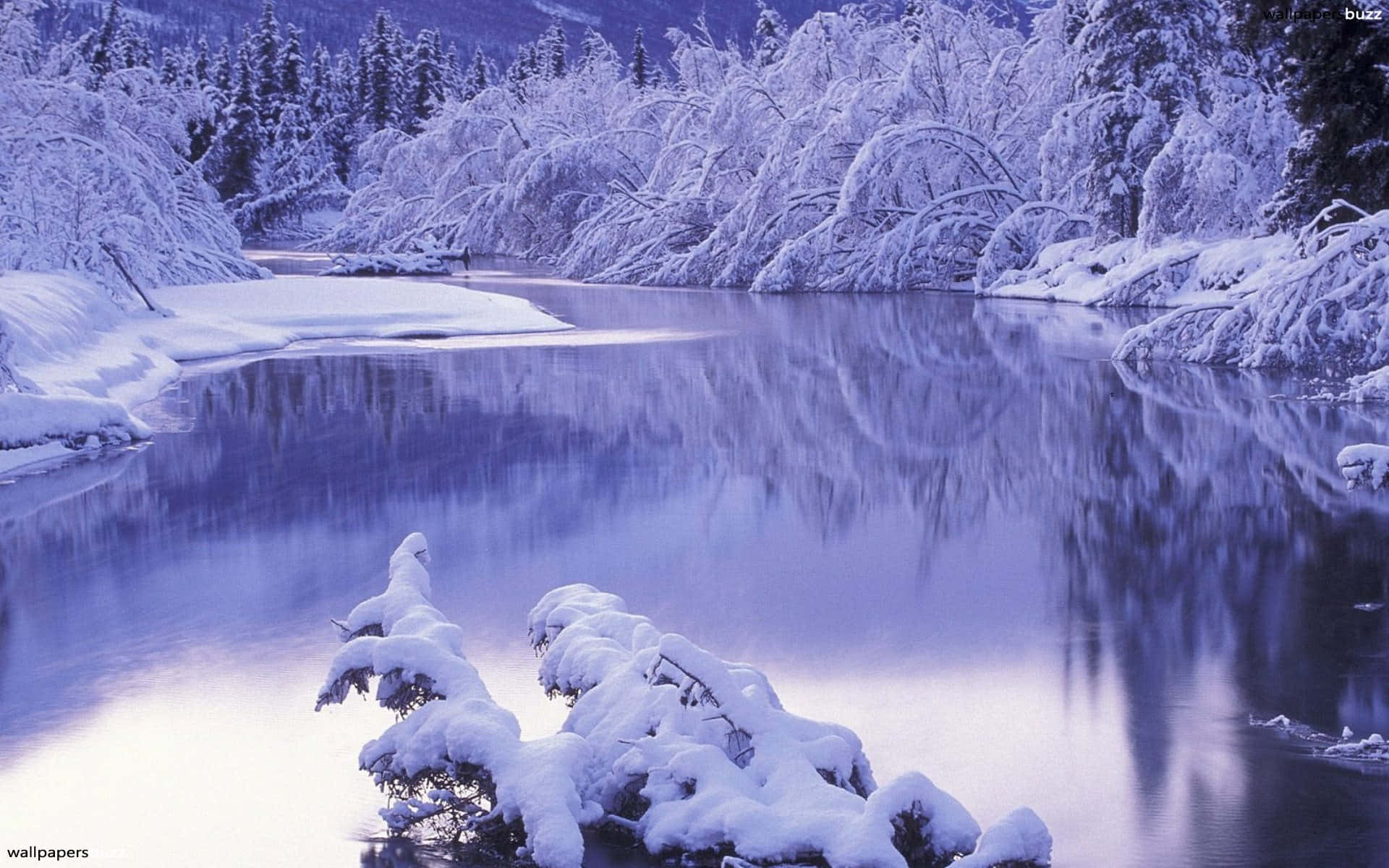積雪覆蓋的樹木在藍天下倒映在平靜的冬日河流中。