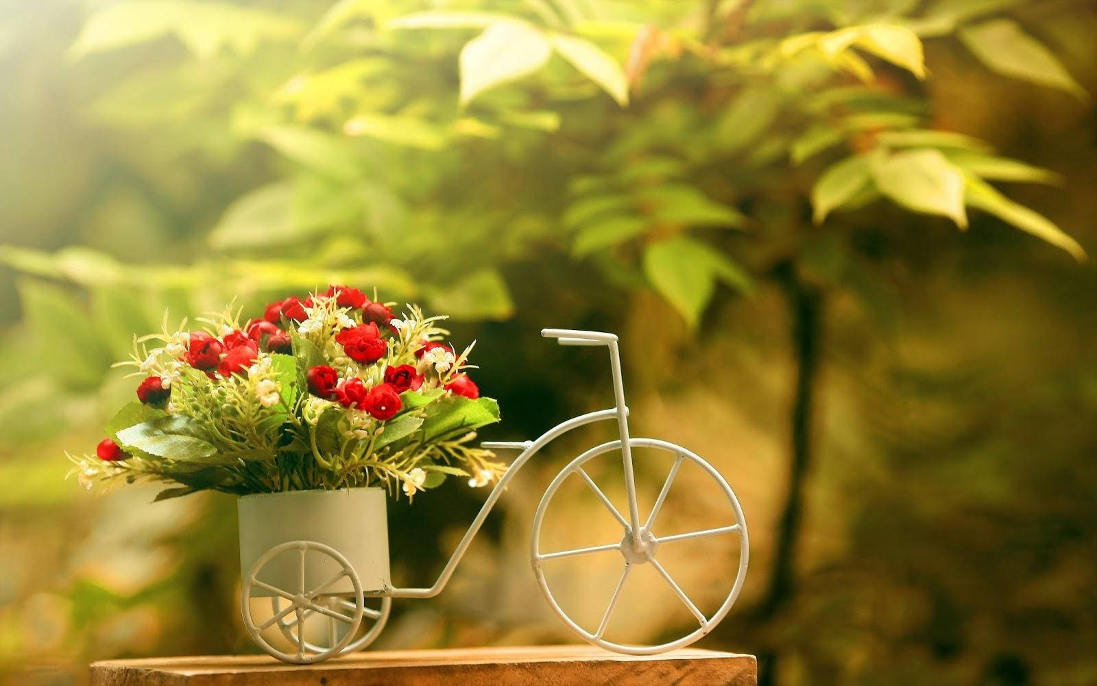 白色單車形花盆，裝滿紅色花朵，放在木質表面上。