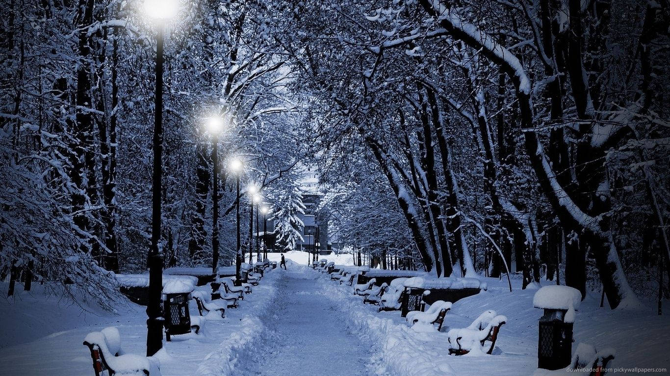 夜晚積雪的公園小徑，發光的街燈和積雪的長椅。