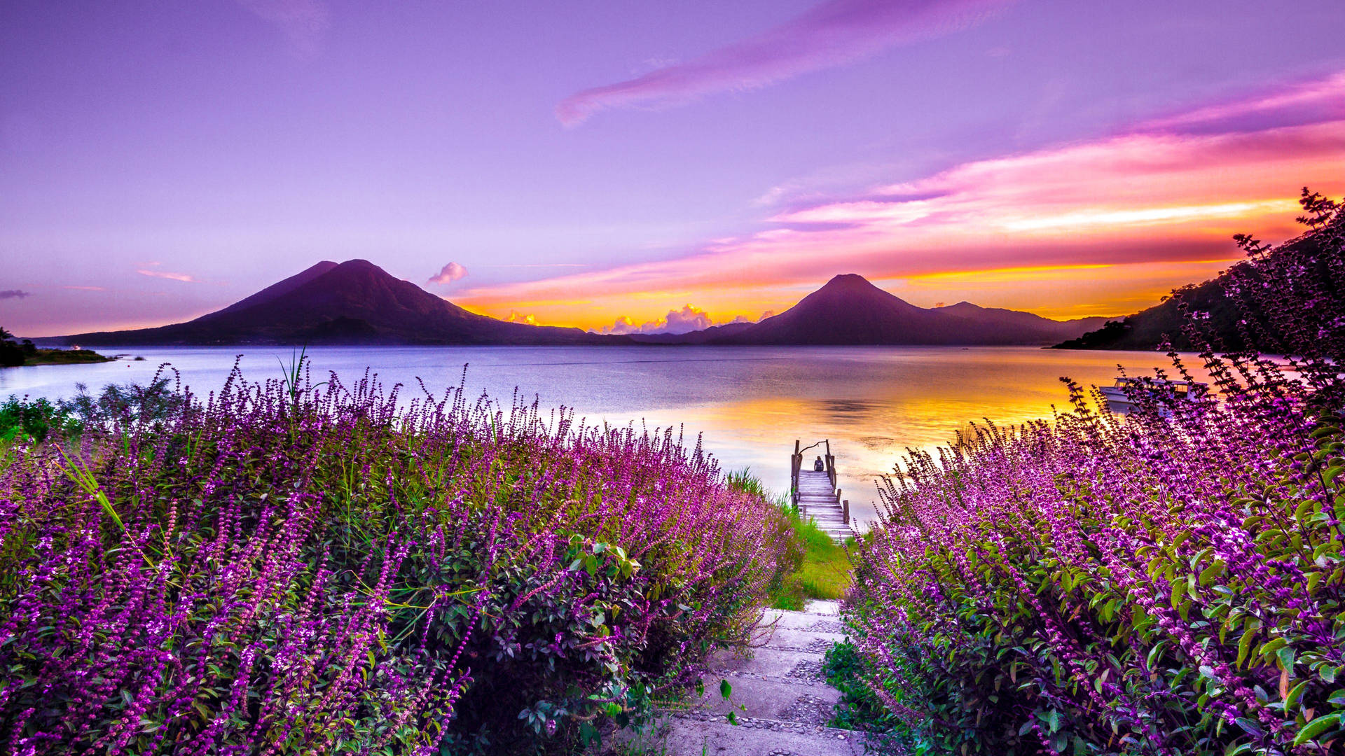 紫色花朵排列的小路通向夕陽下的湖邊碼頭，背景有山巒。 — 春季桌面壁紙 壁紙
