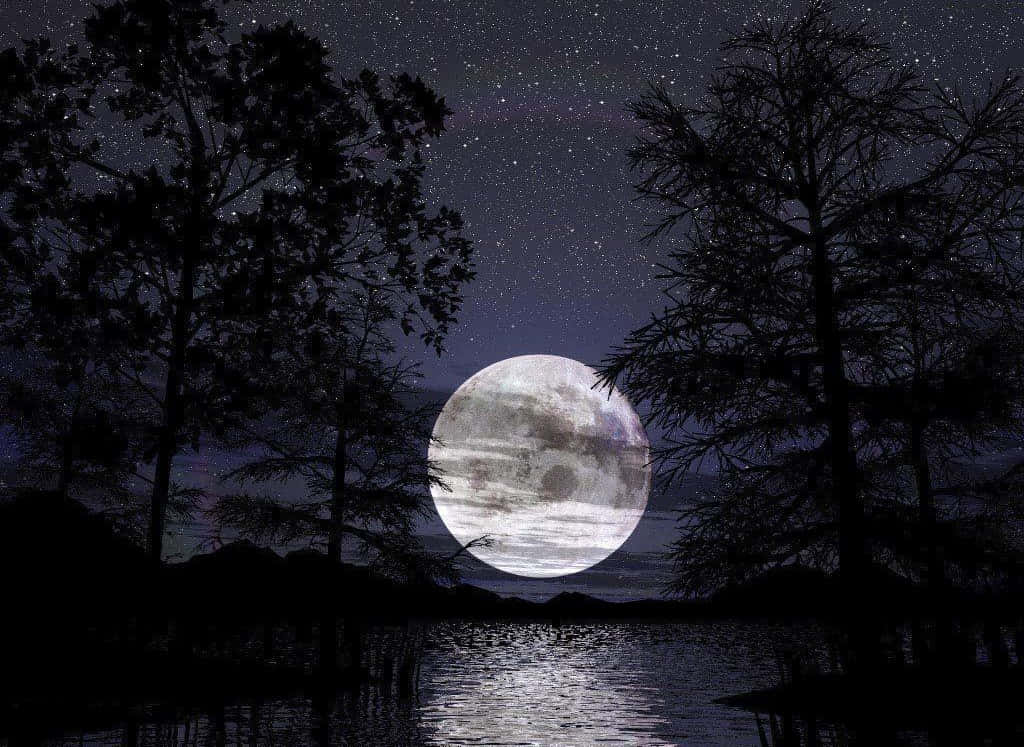湖面之上看見的滿月 壁紙 — 一輪明亮的滿月在繁星點點的夜空下，從寧靜的湖面升起，四周環繞著黑暗的樹木剪影。