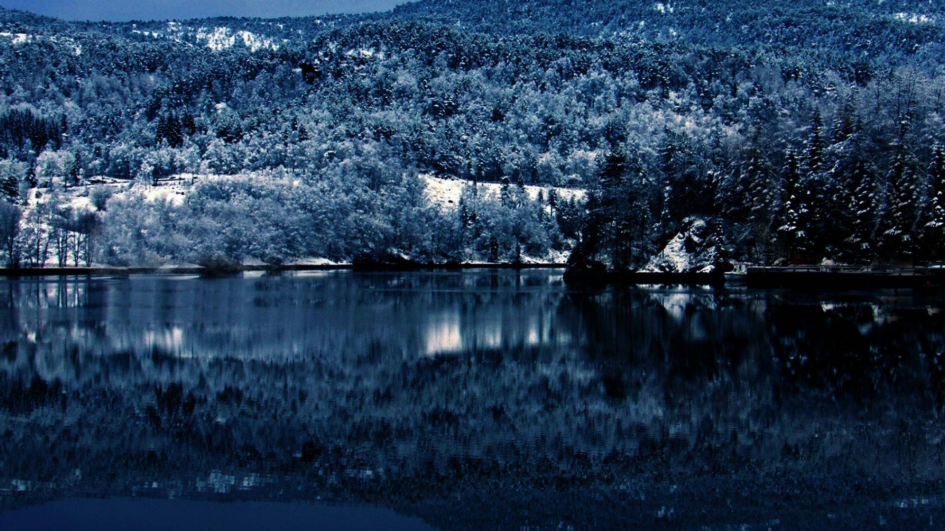 湖面倒影冬季桌面壁紙 壁紙 — 寧靜的冬日湖泊映照著白雪覆蓋的常綠森林，在深藍色的暮色天空下。