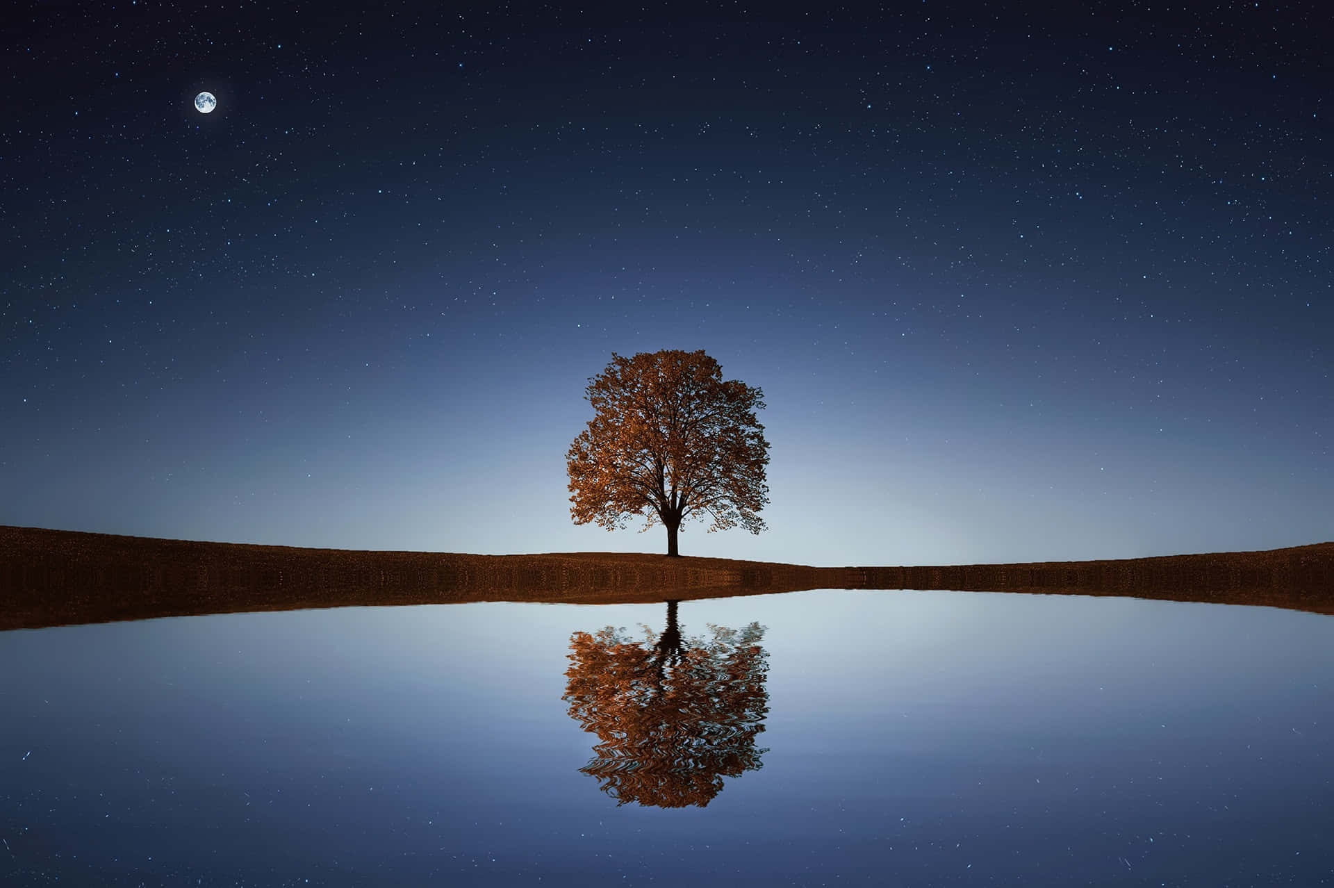 湖面倒影樹木夜景圖 壁紙 — 一棵孤獨的秋樹矗立在平靜的湖邊，星空下可見月亮，倒影完美。