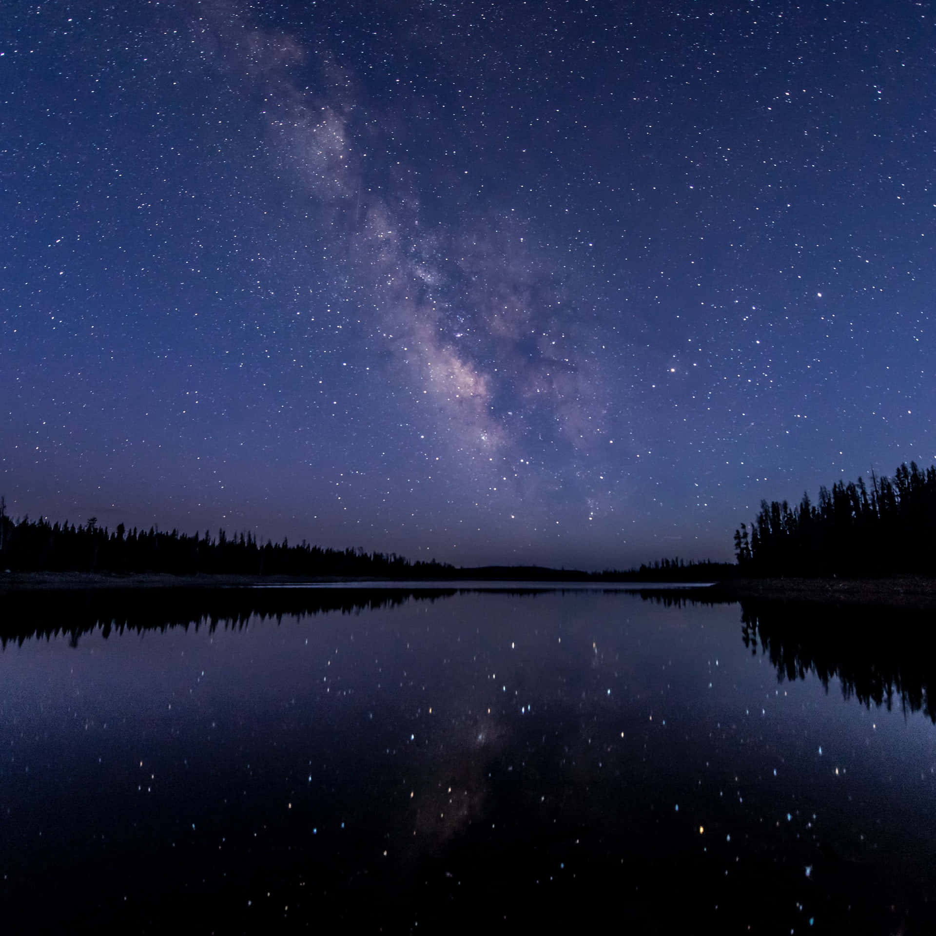 銀河系在繁星點點的夜空下倒映在平靜的湖面上，周圍有松樹。