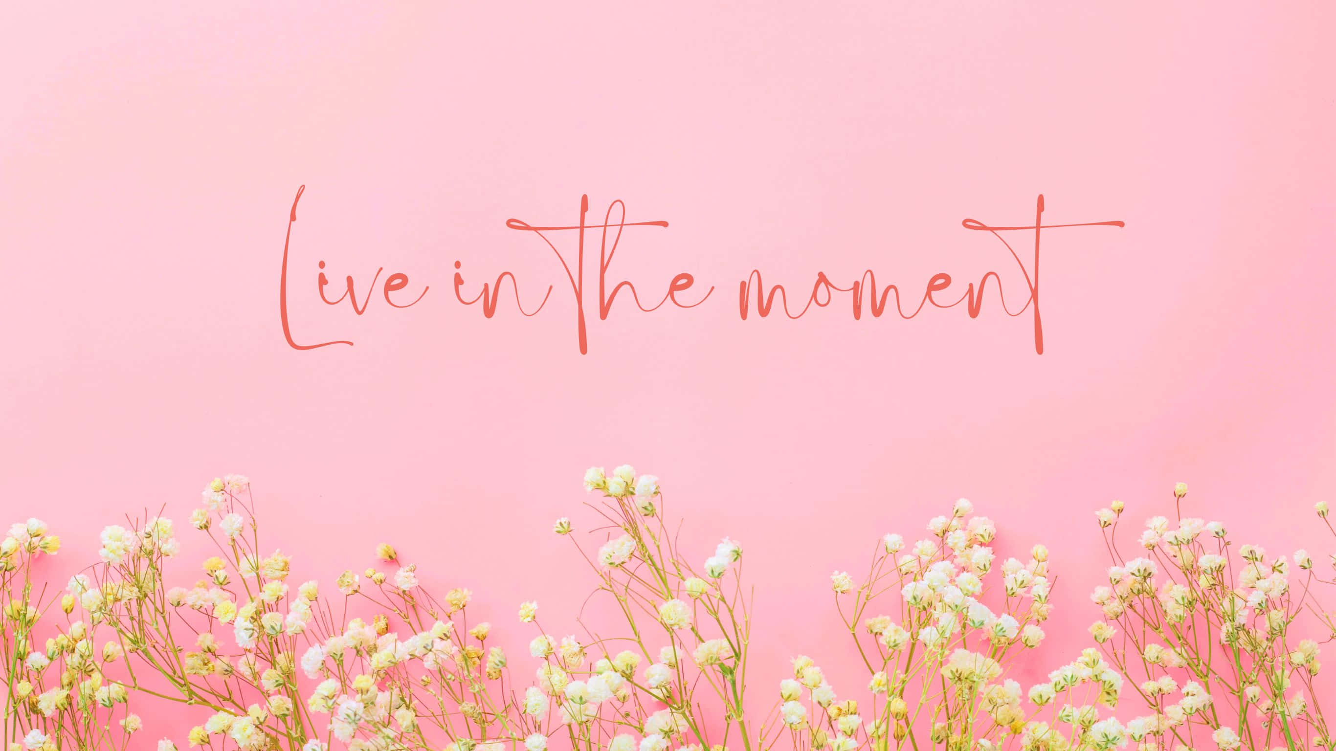 粉紅色背景，白色滿天星花朵和手寫文字「live in the moment」。