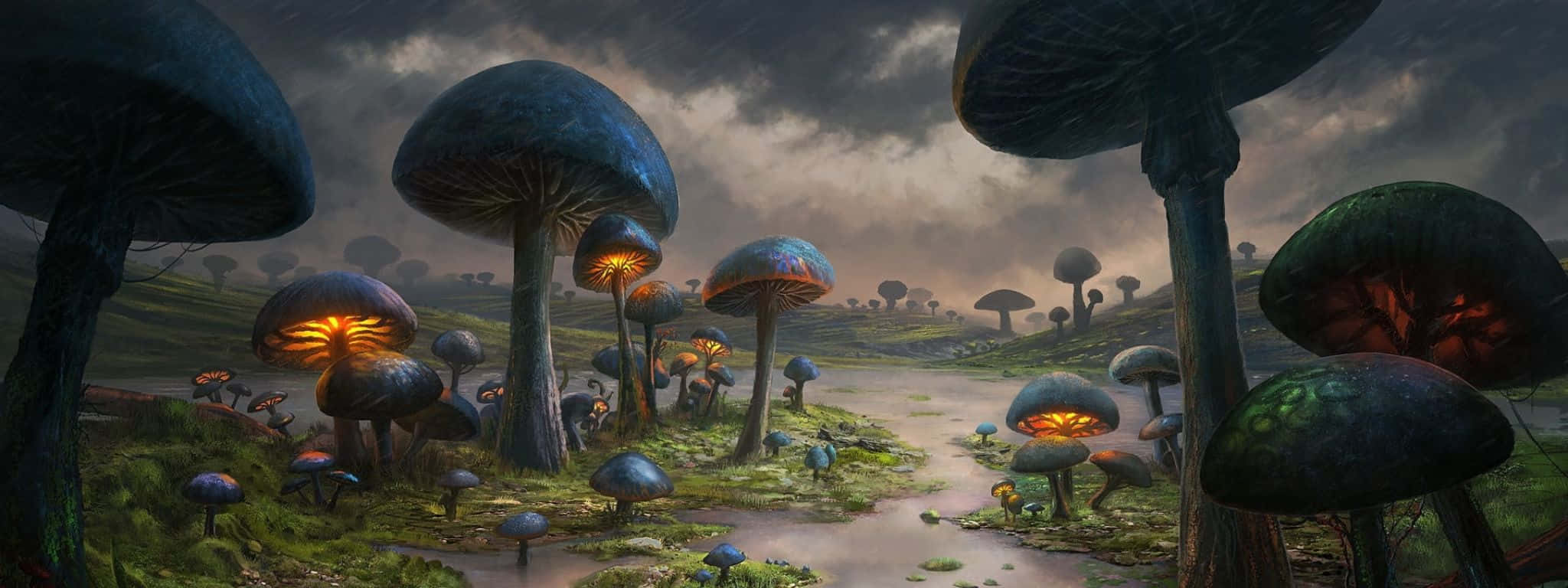 湖面日落美景 壁紙 — 巨大的發光蘑菇在暴風雨黃昏的天空下照亮了迷霧森林小徑。