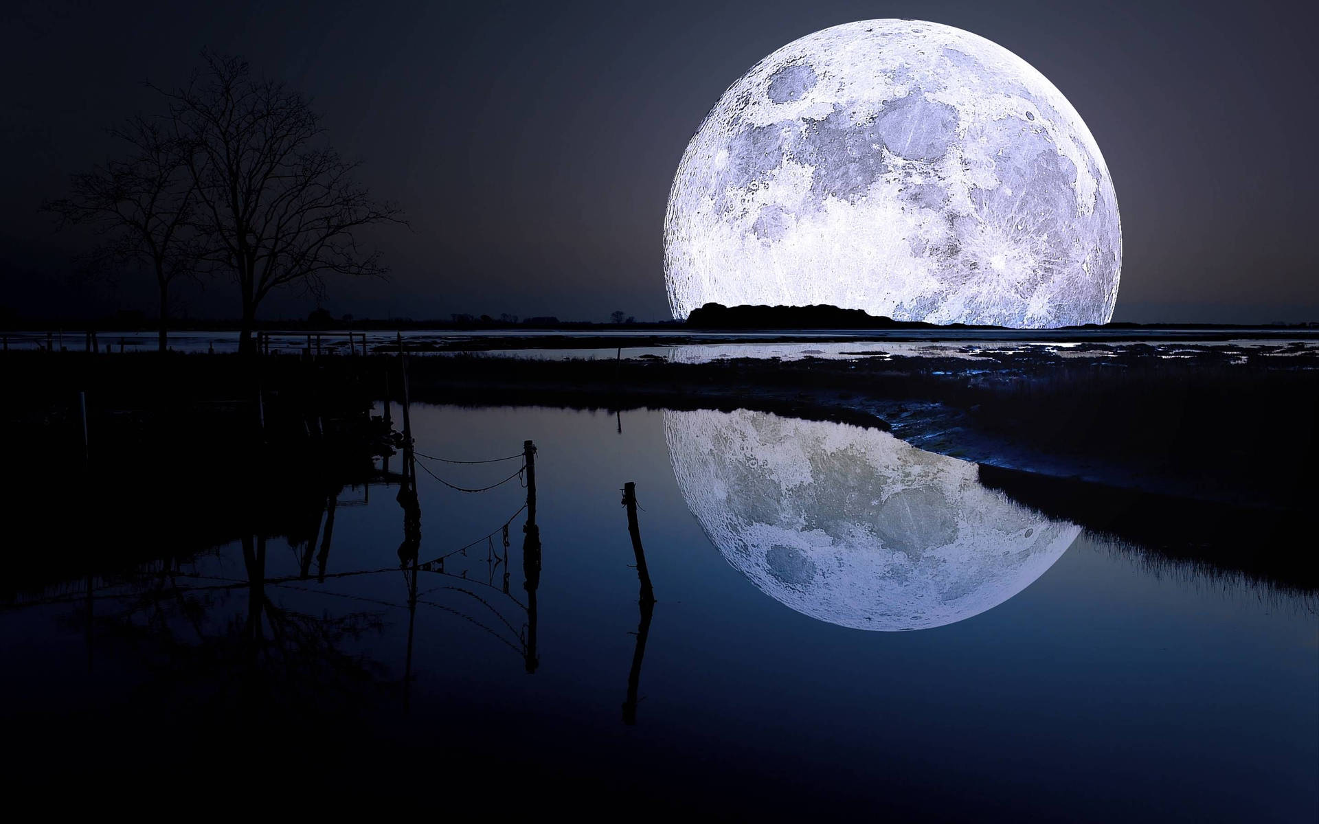 滿月倒映在平靜的水面，夜間樹木剪影