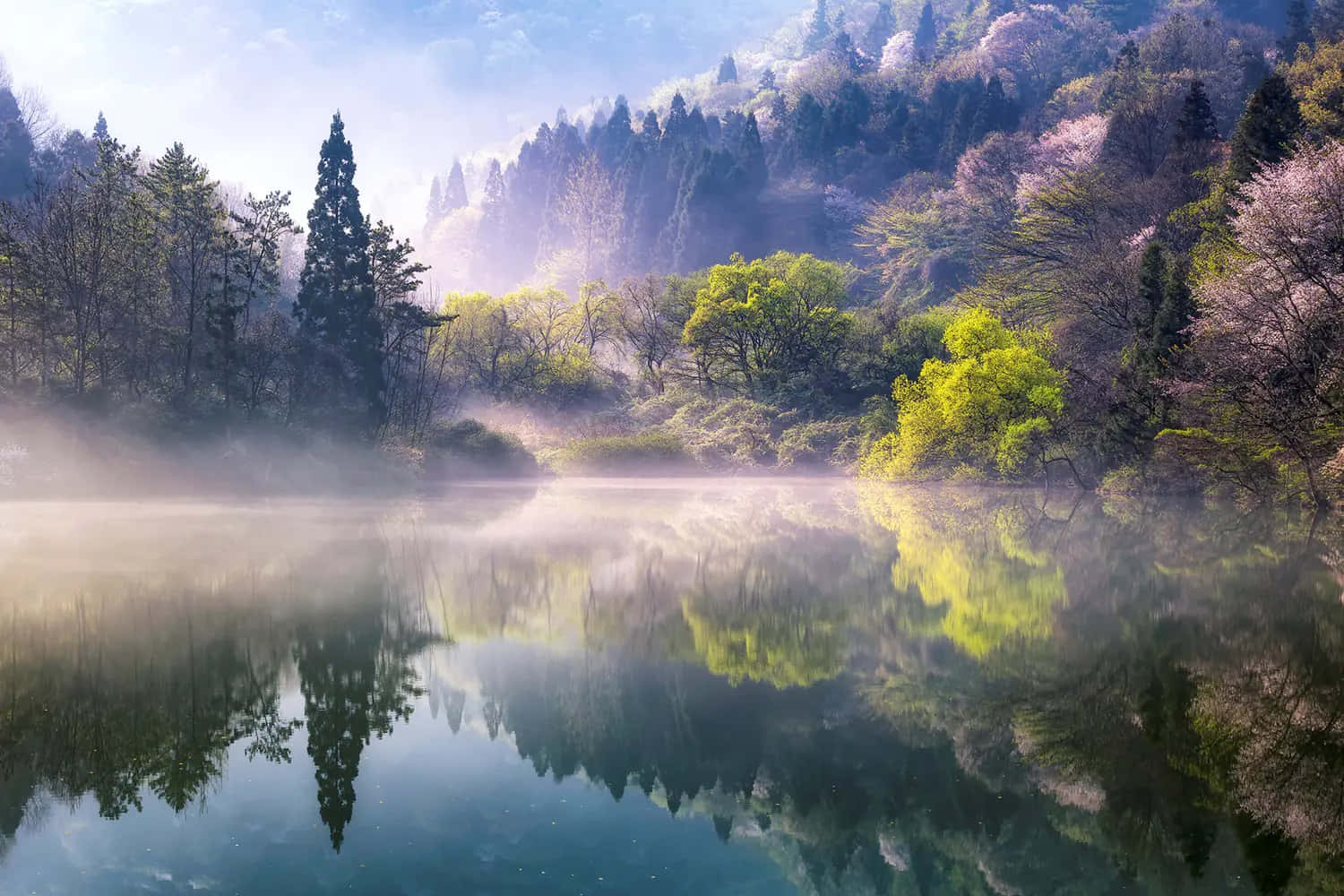 湖面與樹木，背景有薄霧 壁紙