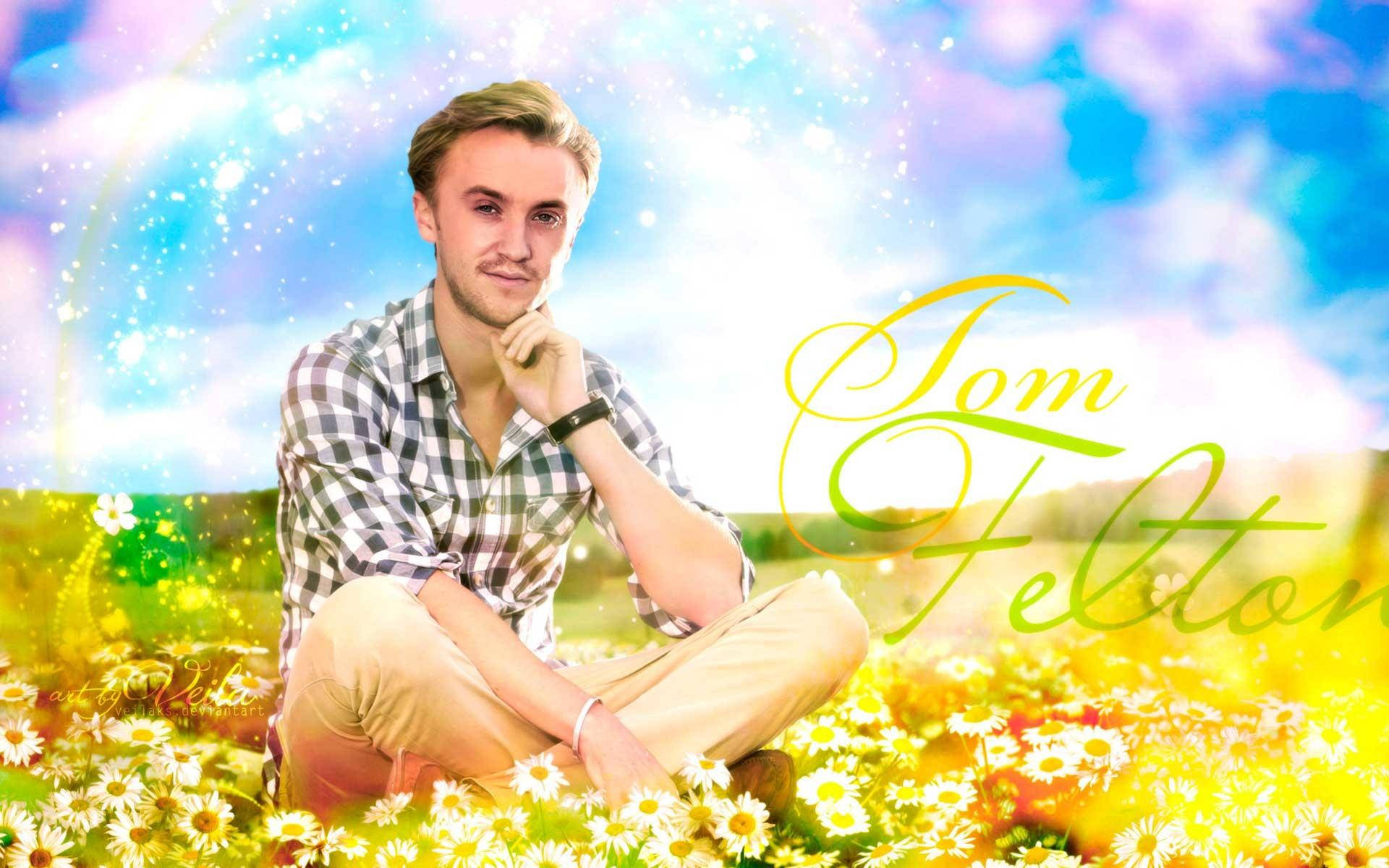 湯姆·費爾頓與花朵高清壁紙 壁紙 — 一個男人沉思地坐在雛菊田裡，頭頂是充滿活力、閃爍著彩虹色調的天空。