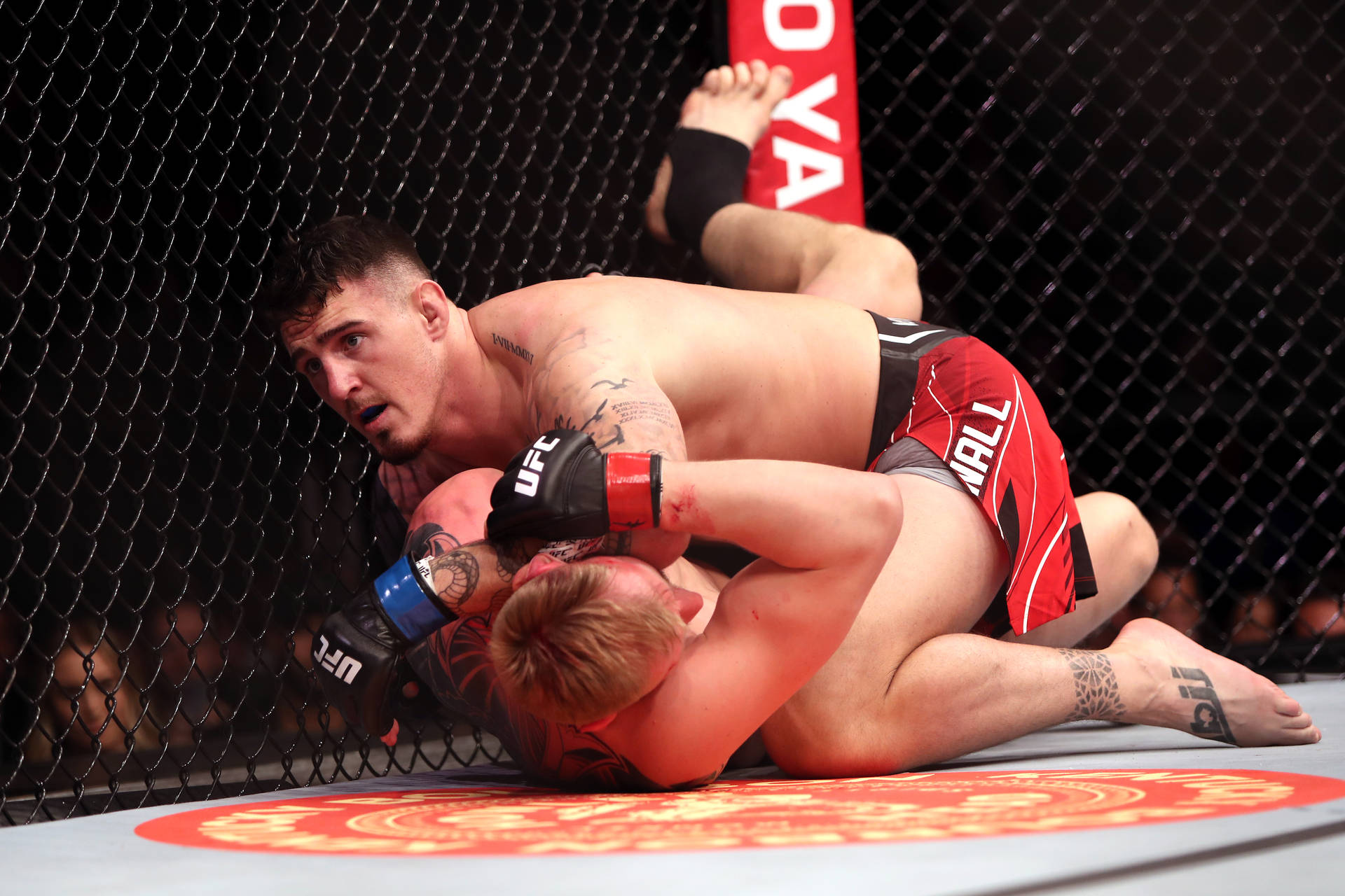 兩名男性MMA拳手在八角籠內進行纏鬥比賽。