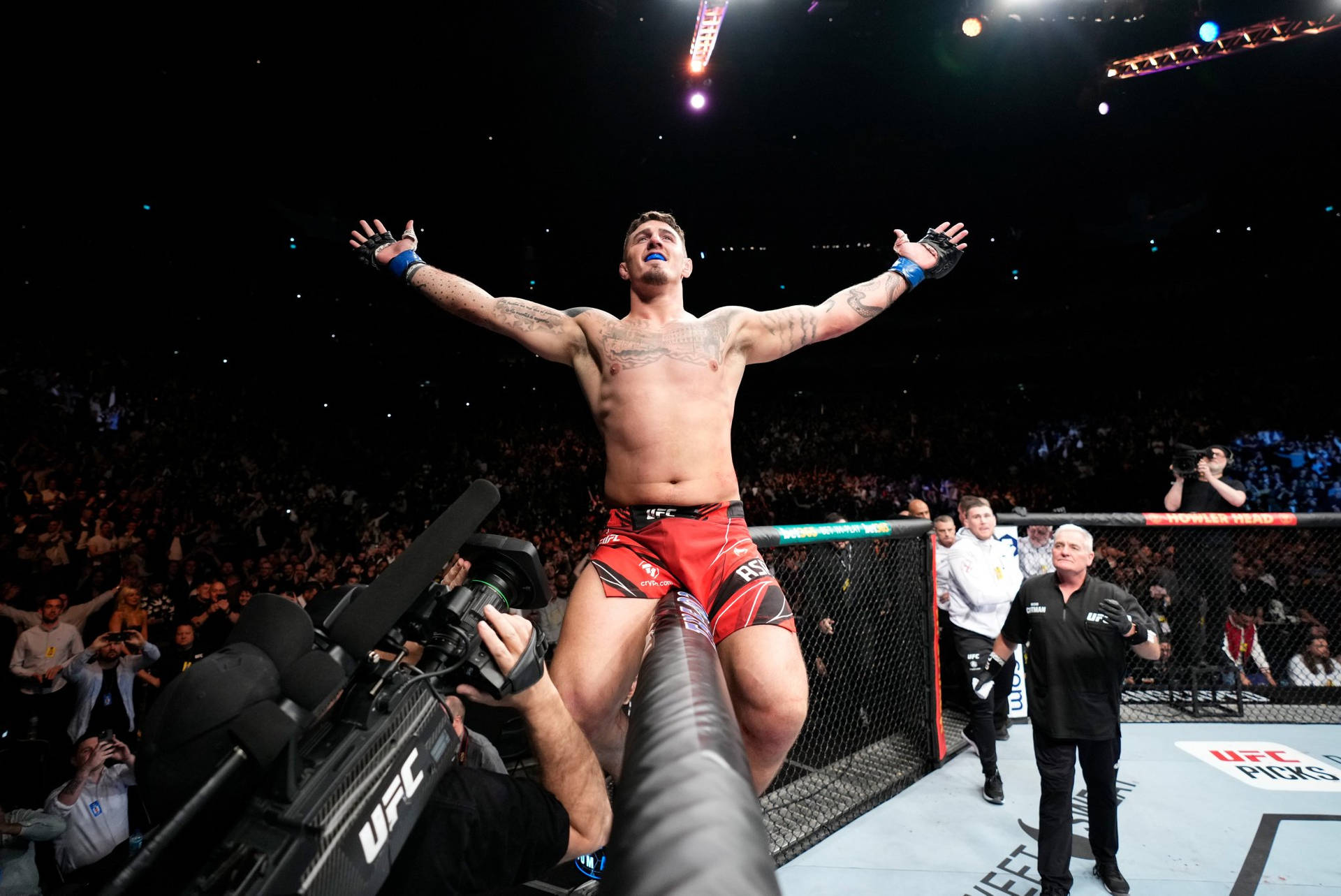 UFC拳手站在八角籠圍欄上高舉雙臂慶祝勝利。
