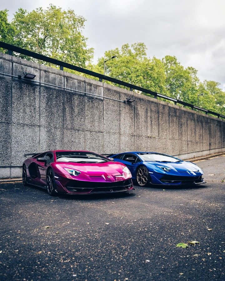準備，起跑，GO！ 壁紙 — 兩輛充滿活力的跑車，一輛洋紅色和一輛藍色林寶堅尼，並排停泊在瀝青路上，旁邊是混凝土牆，上方有綠樹。