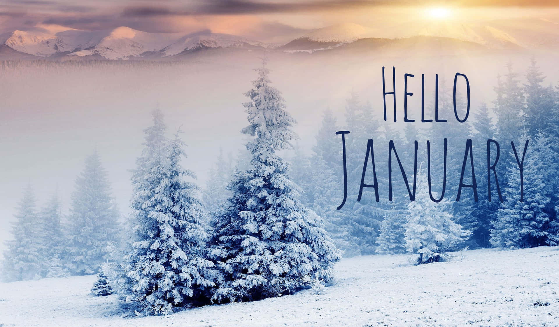 霧氣瀰漫的山谷日出時白雪覆蓋的松樹和hello january文字