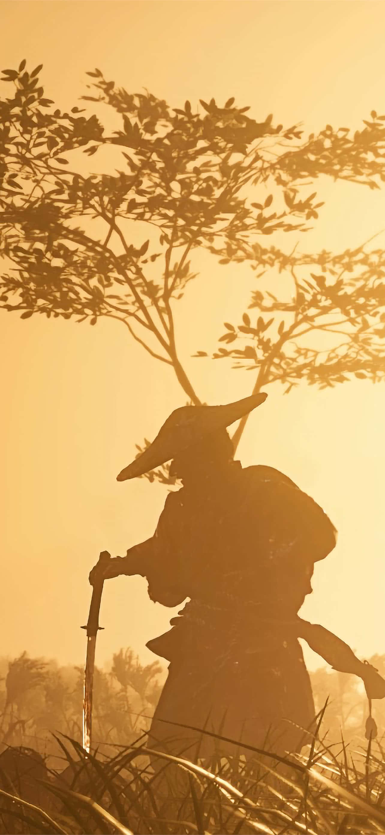 準備好在對馬島上自由遊蕩 壁紙 — 武士剪影手持劍，站在樹下，背景是金色日落天空。