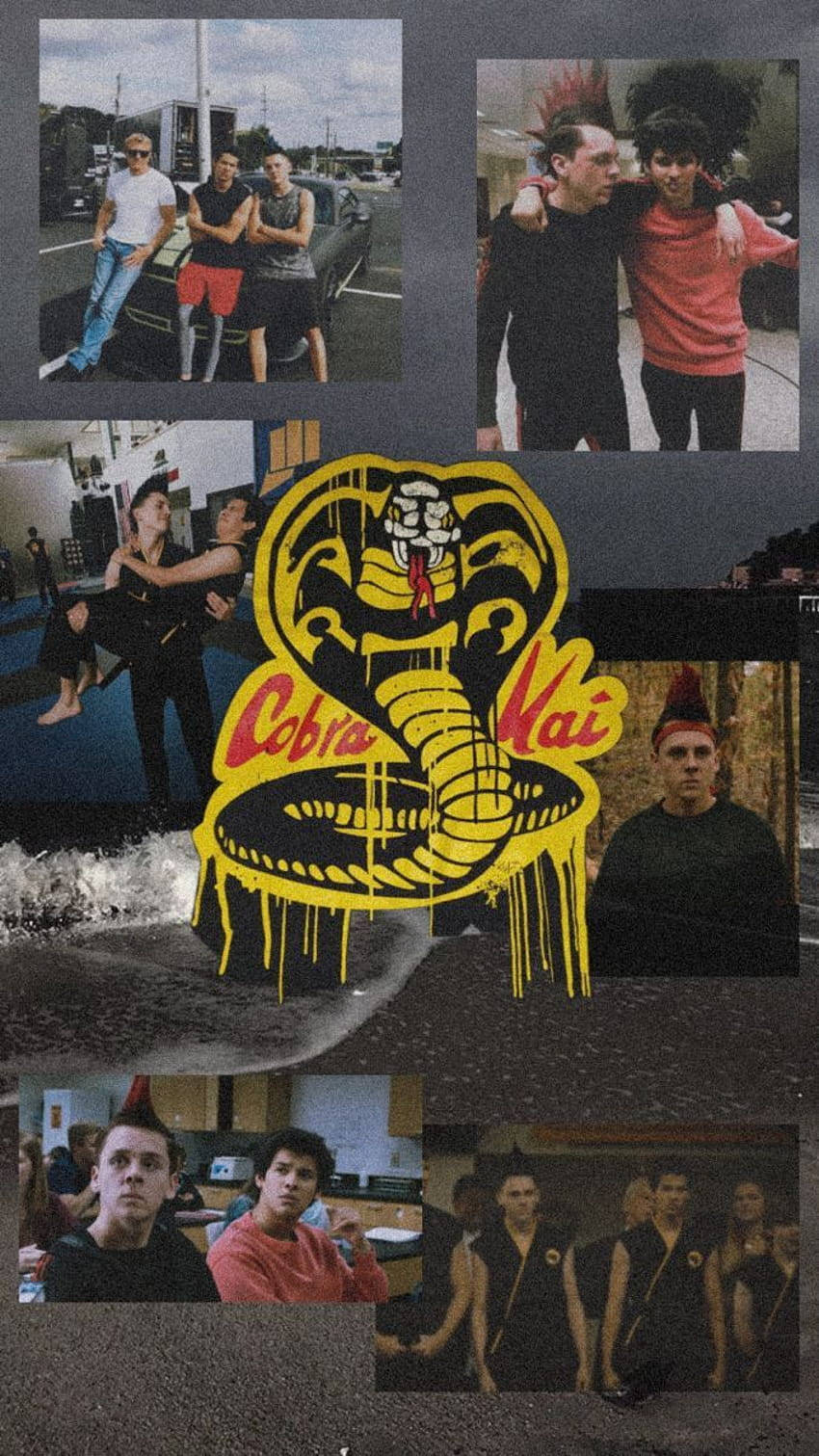 Cobra Kai 標誌滴落在莫霍克頭青少年和街頭場景的龐克搖滾拼貼畫上。