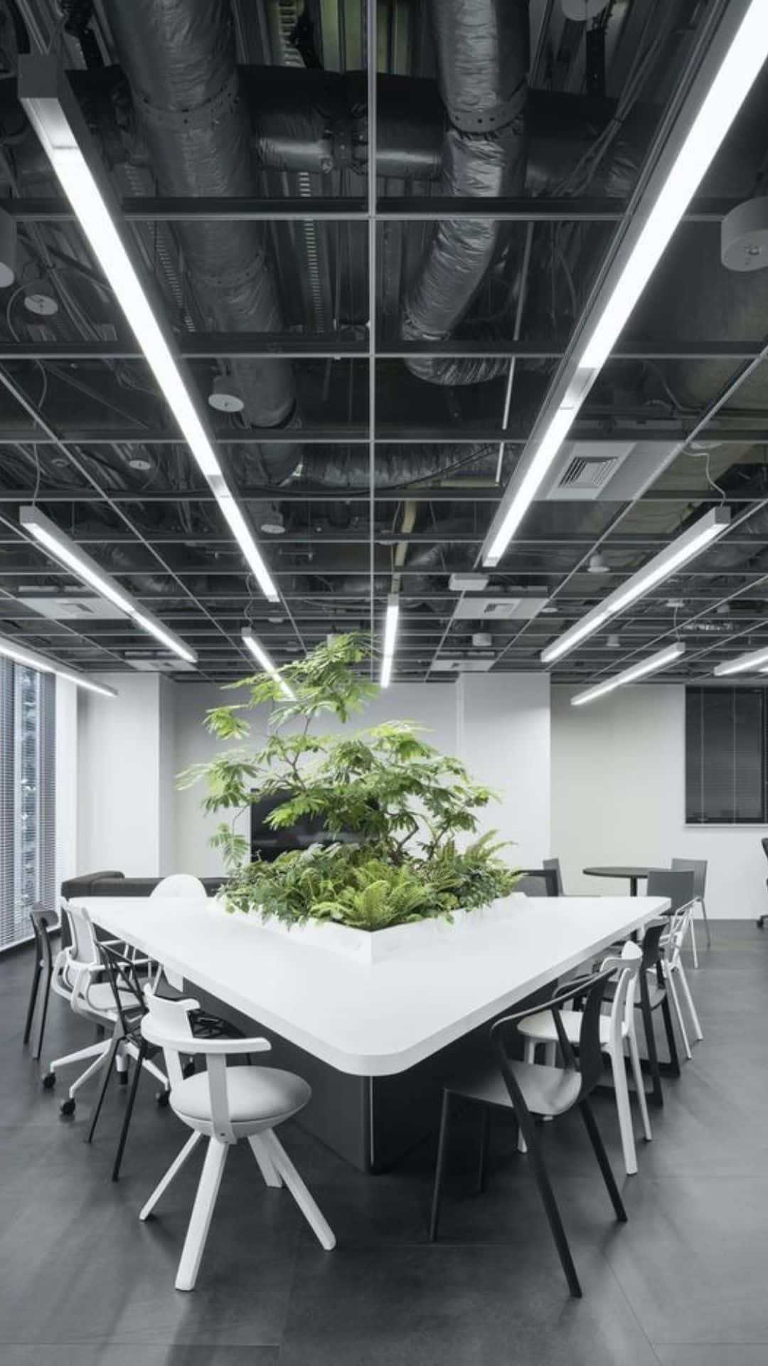 極簡辦公室，帶有裸露管道和中央植物桌。