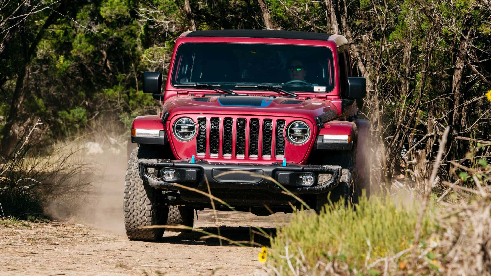 紅色Jeep Wrangler在樹林地區的泥路上行駛。